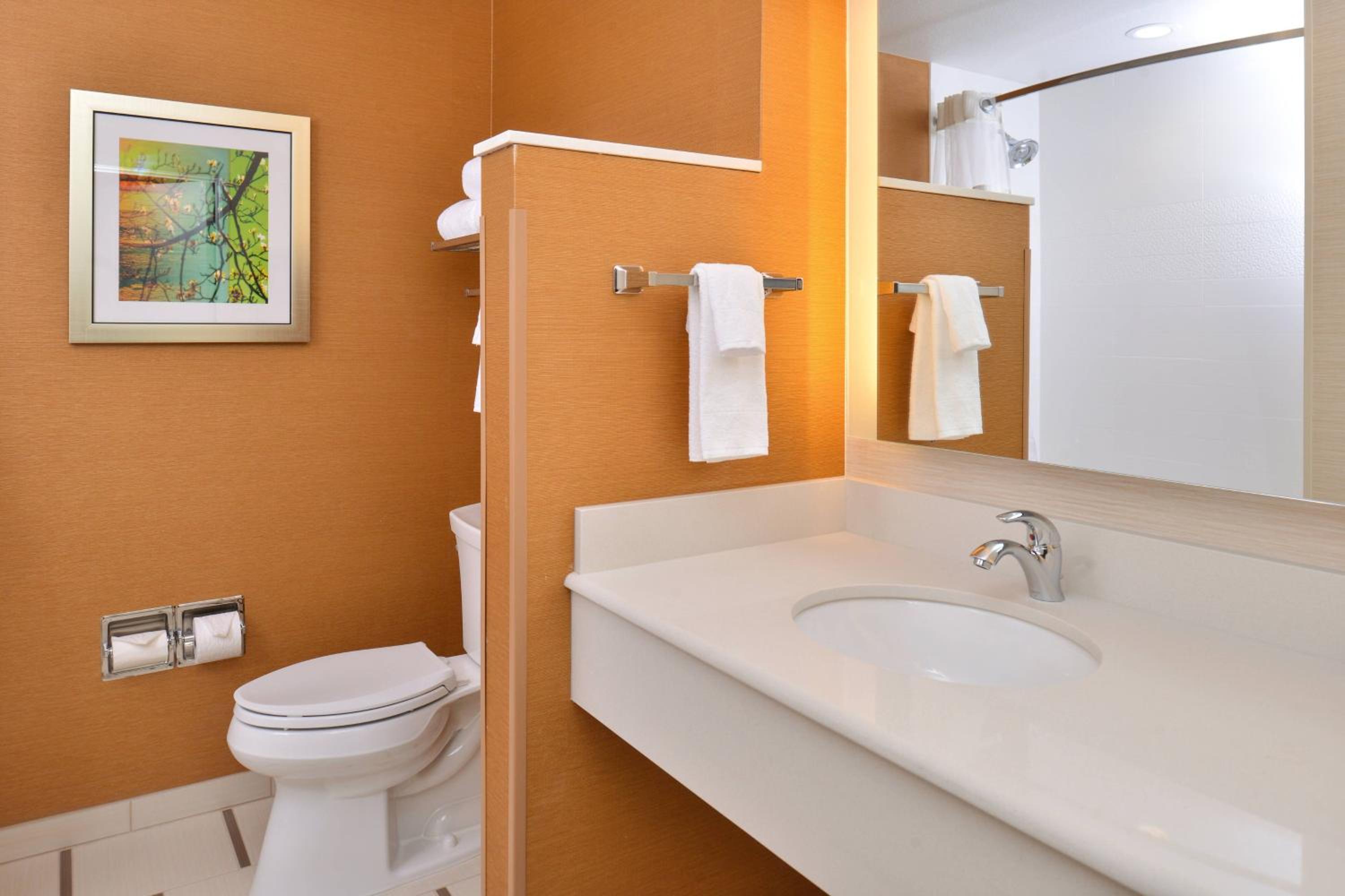 King Room with Roll-in Shower - Mobility and Hearing Accessible photo 3