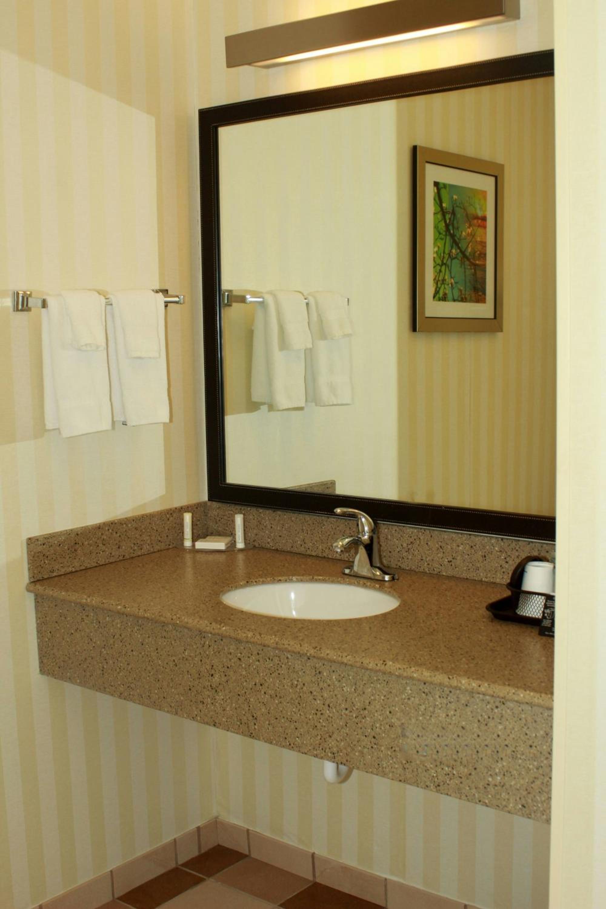 King Room with Roll-in Shower - Mobility and Hearing Accessible photo 3