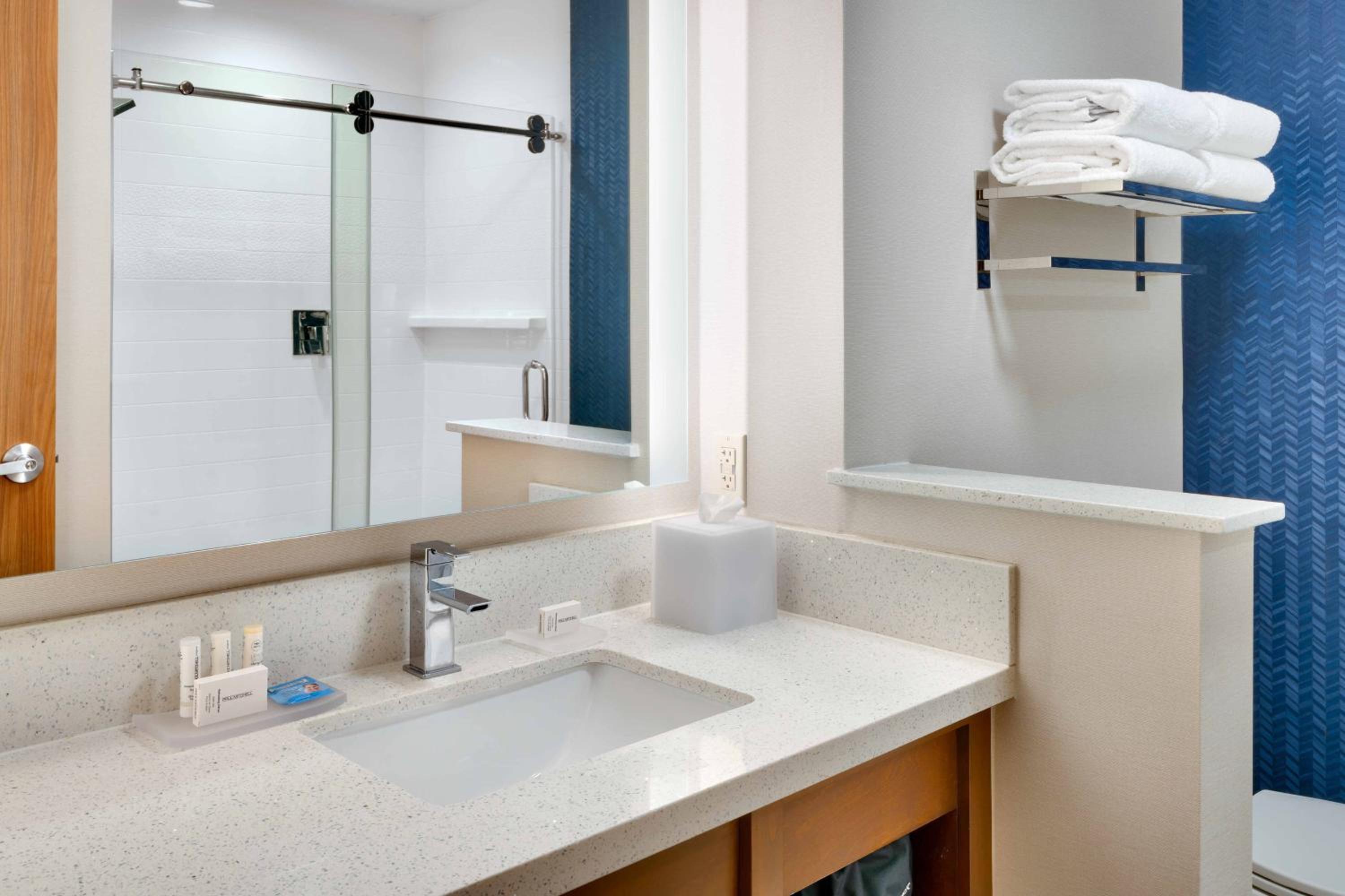 King Room with Roll-in Shower - Mobility and Hearing Accessible photo 2