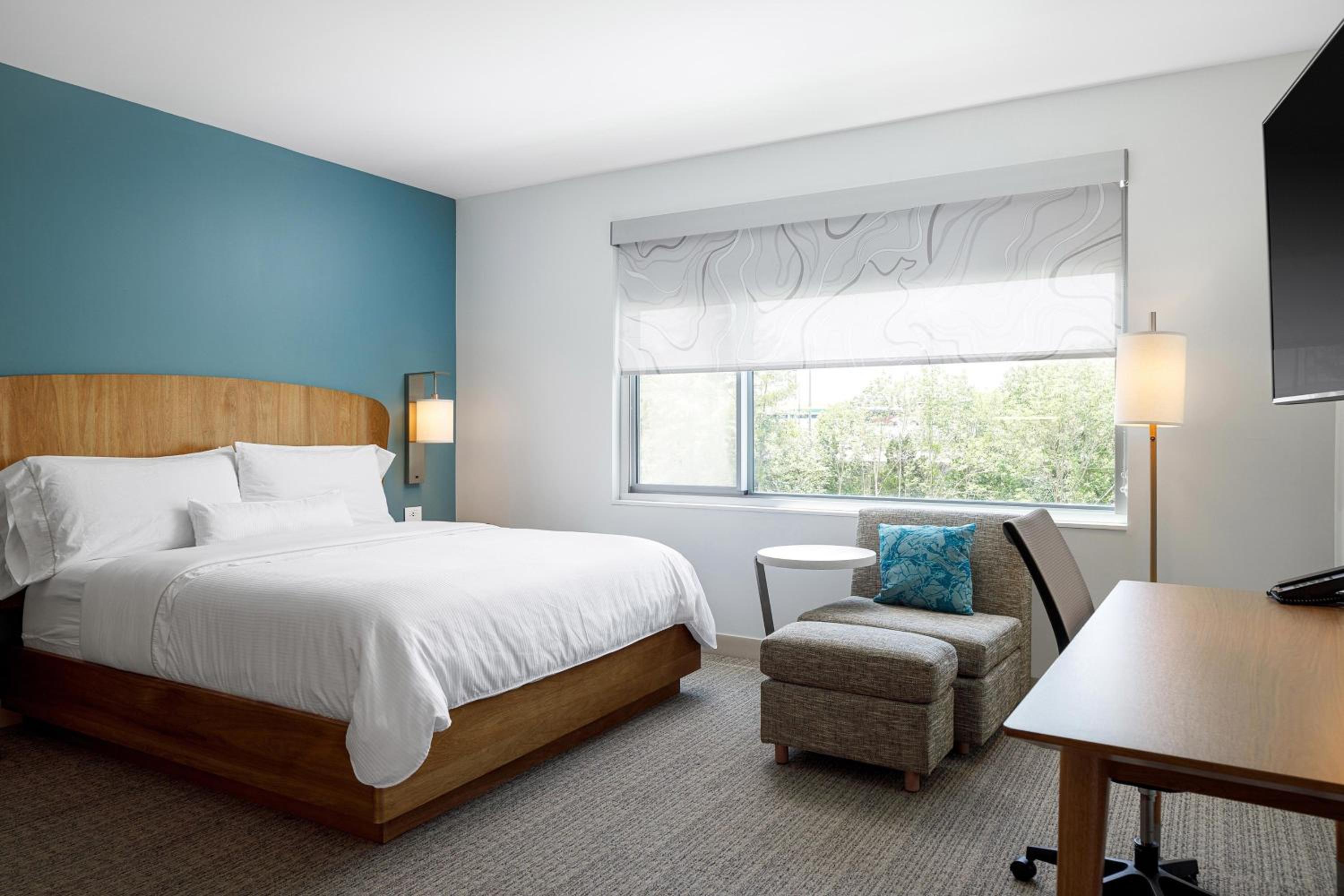 King Studio with Sofa Bed and Transfer Shower - Mobility and Hearing Accessible - Photo 1