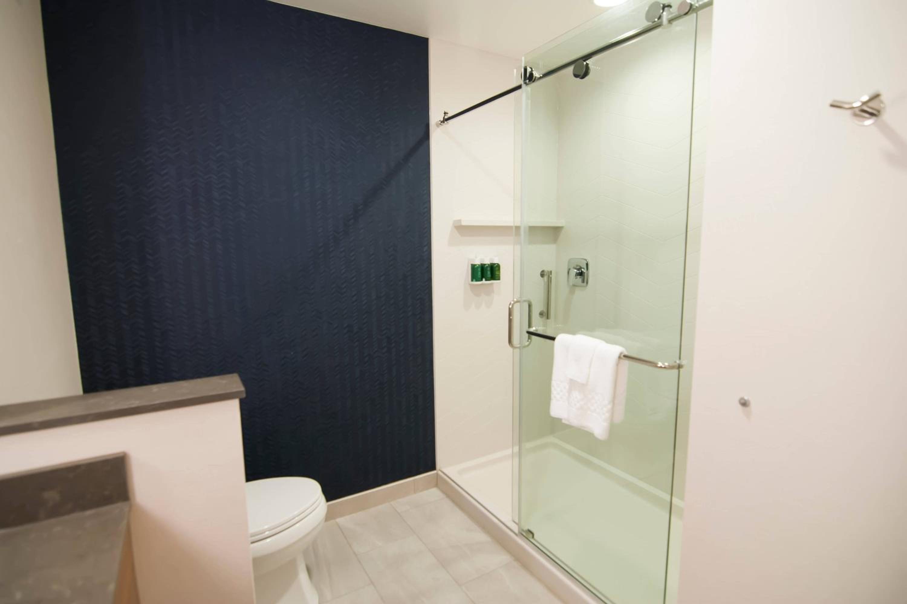 King Suite with Sofa Bed - Hearing Accessible