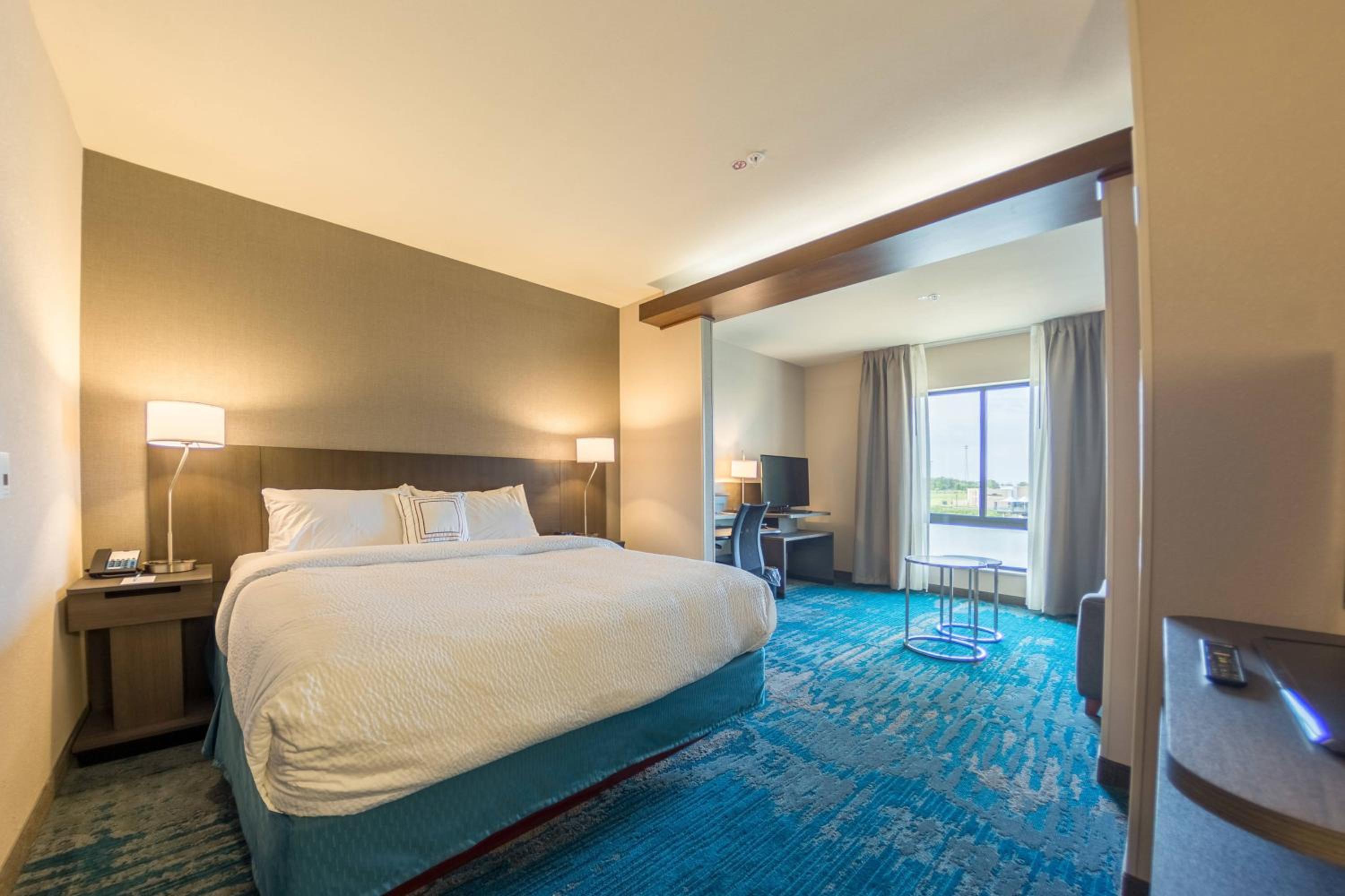 King Suite with Bathtub and Sofa Bed - Mobility Access/Hearing Accessible