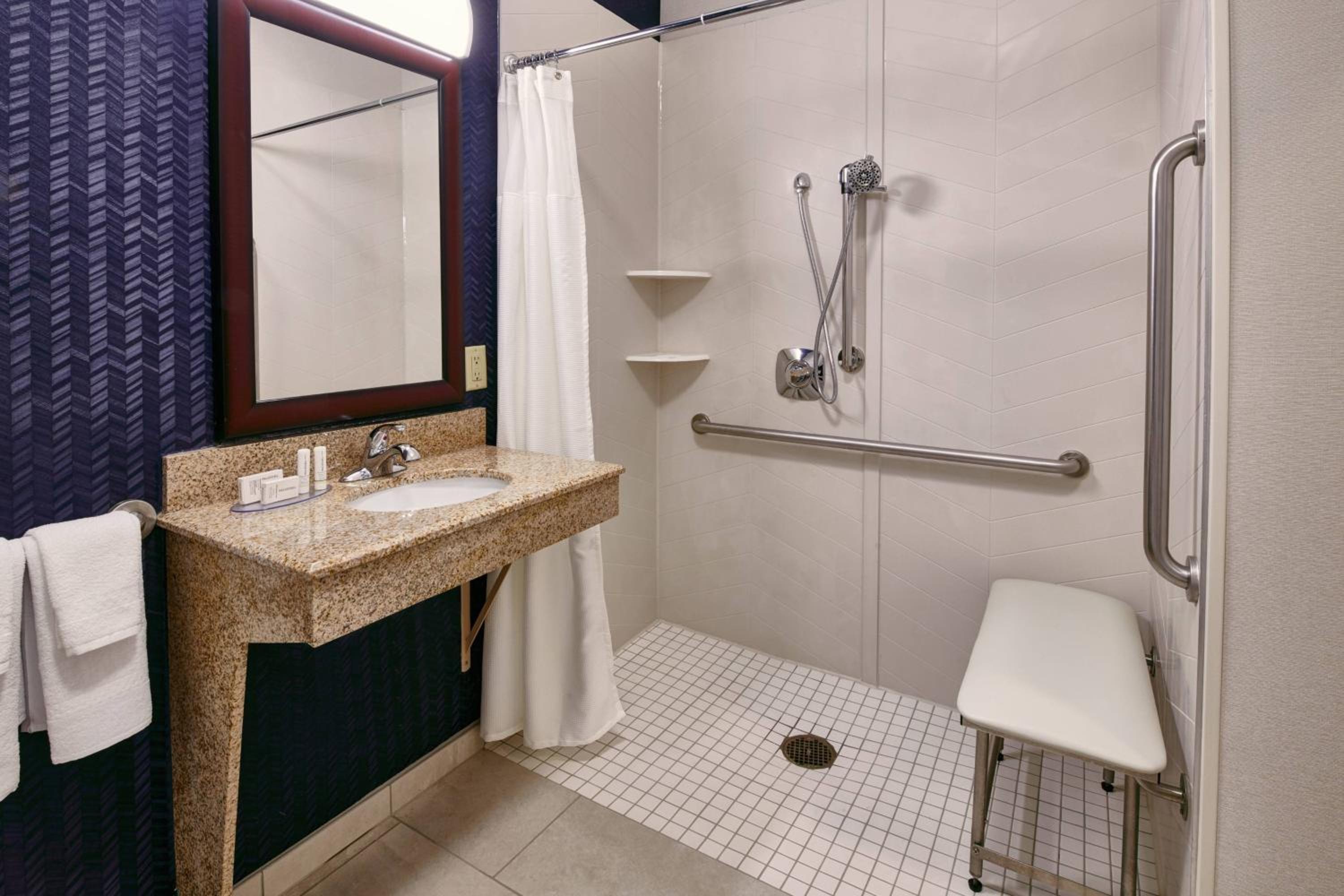 Roll-In Shower, Guest room, 2 Double (Mobility & Hearing Accessible w/ Roll-in Shower)