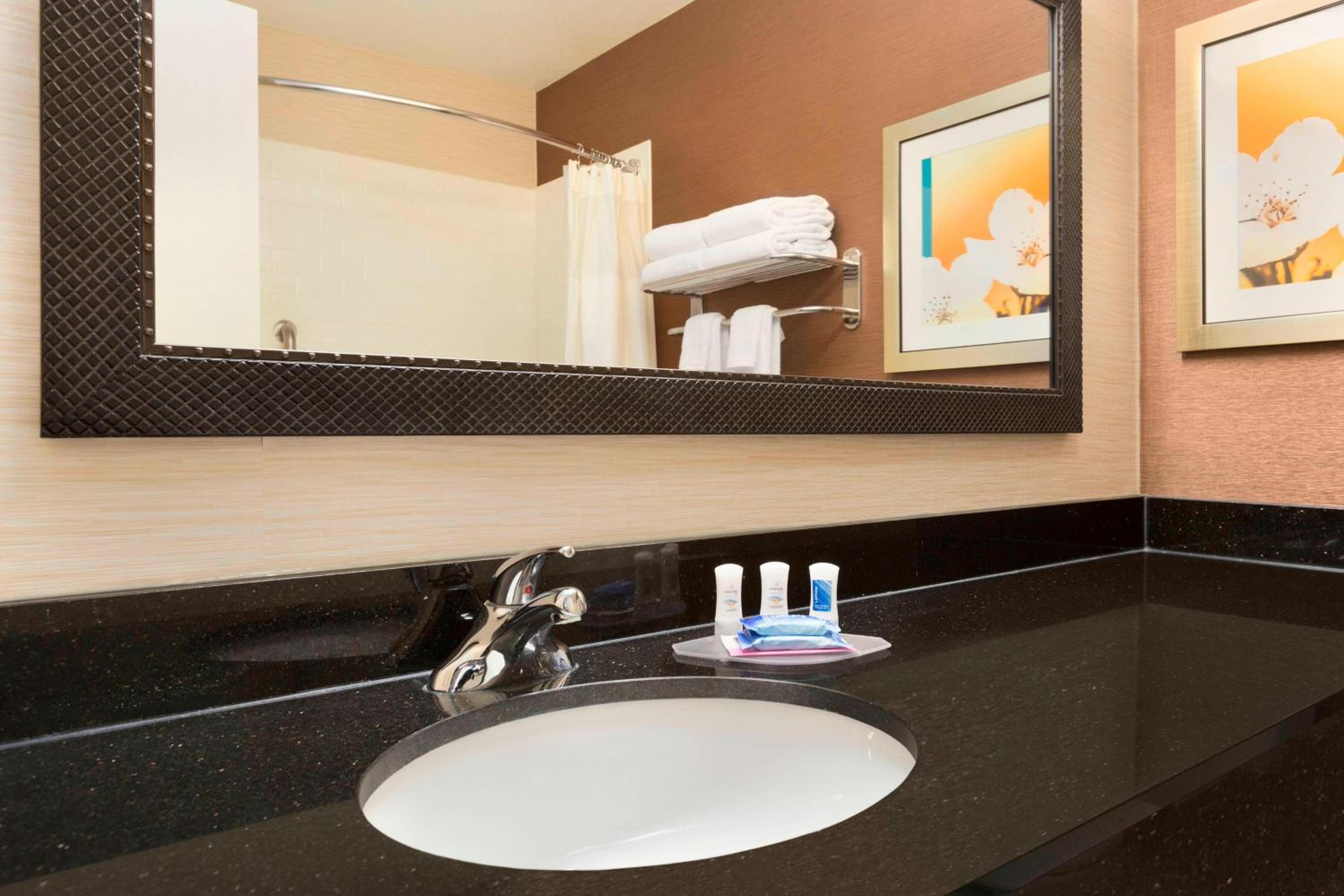 Executive King Suite with Sofa Bed and Tub - Mobility/Hearing Accessible photo 1