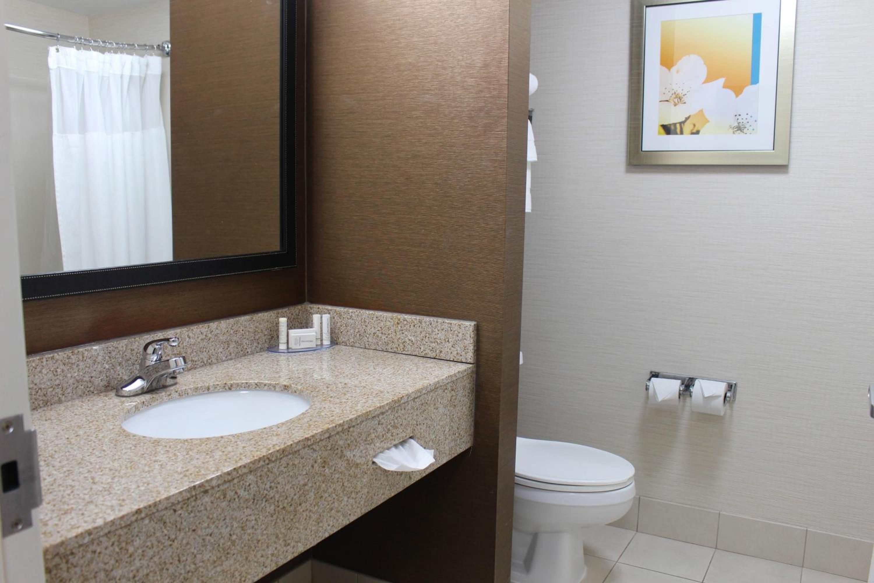 King Suite with Sofa Bed - Photo 2