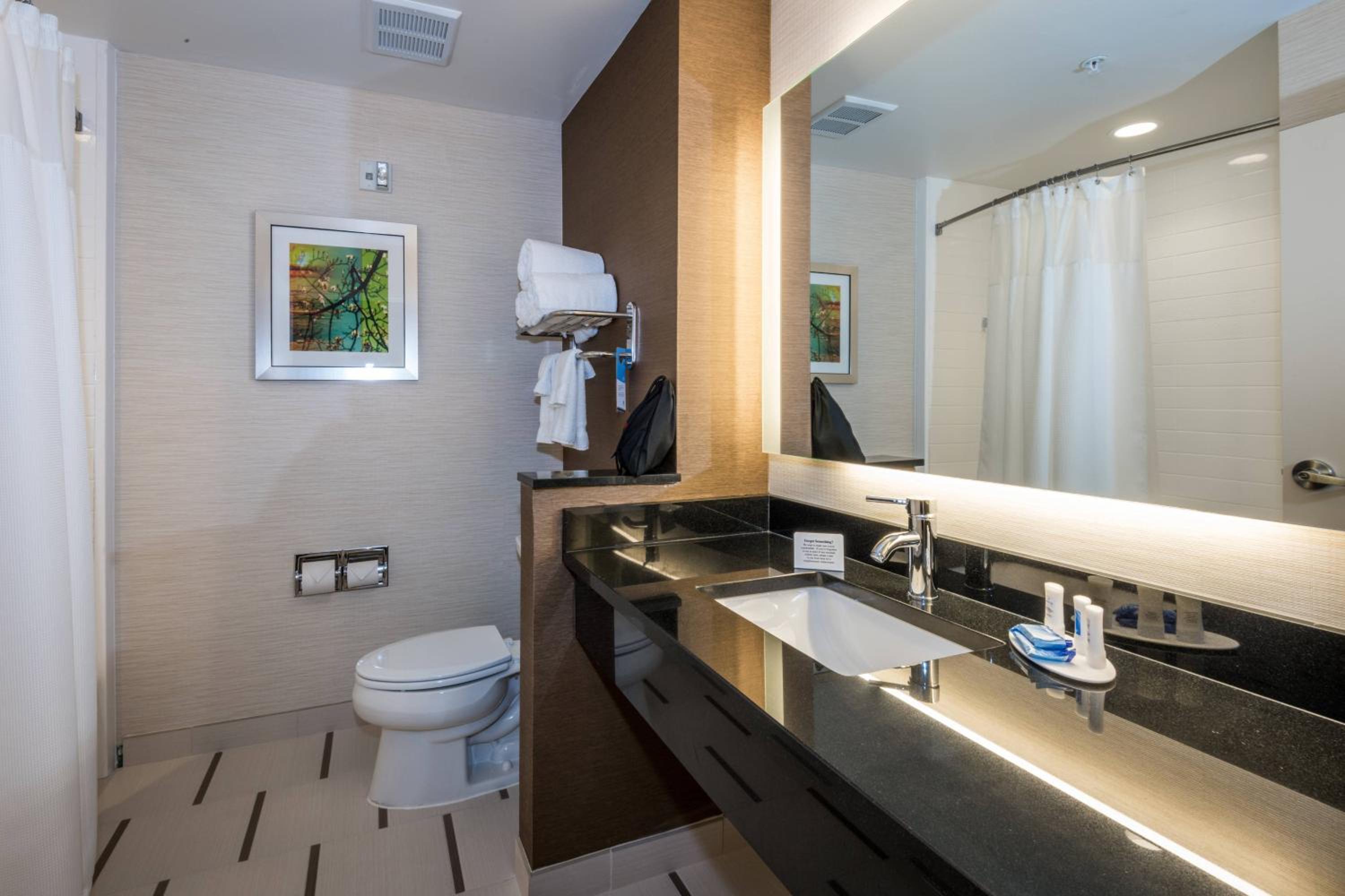 King Suite with Sofa Bed photo 3