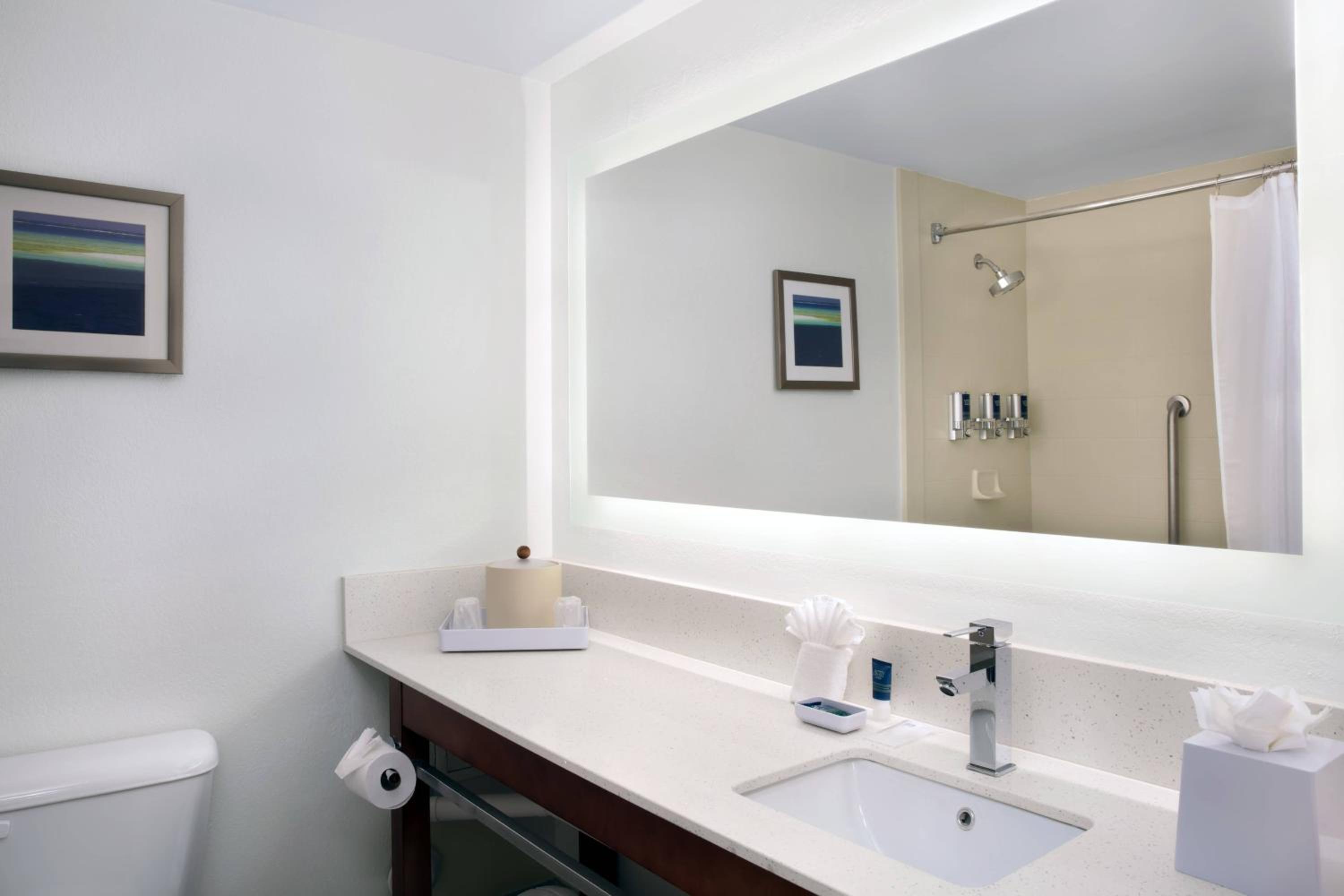 King Room with Sofa Bed and Roll-in Shower - Mobility and Hearing Accessible - Photo 2