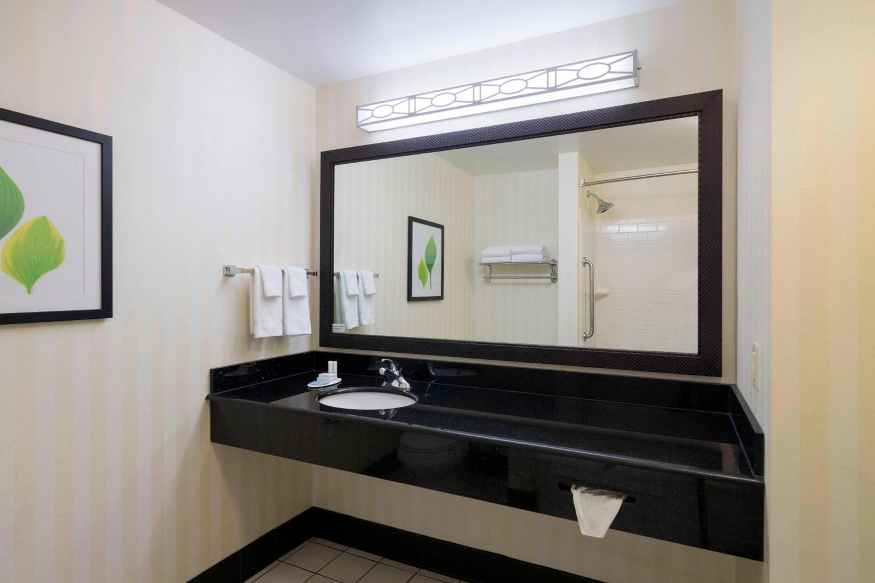 Studio with King Bed, Bathtub and Sofa Bed - Mobility Access/Hearing Accessible - Photo 4