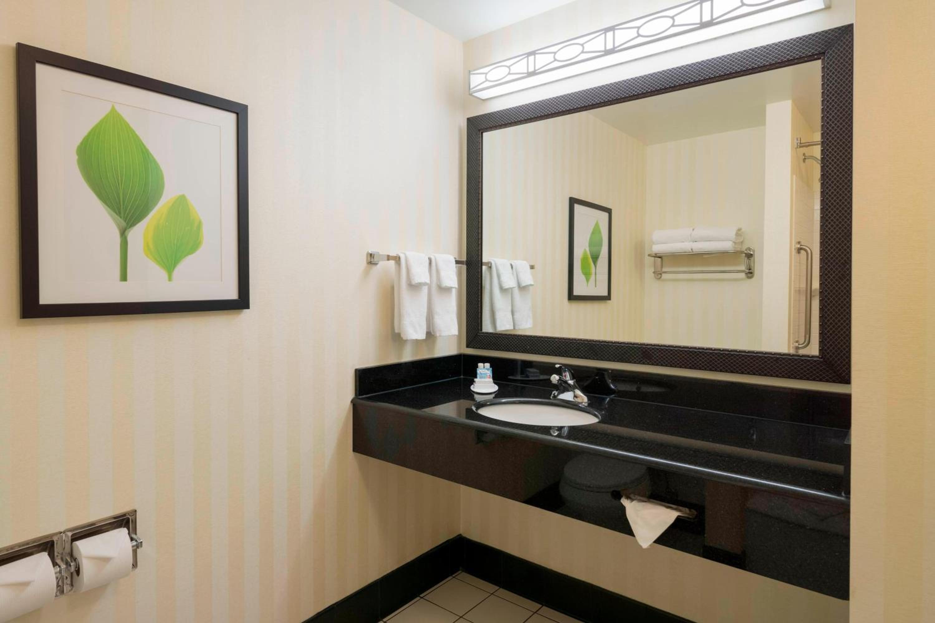 King Room with Roll-In Shower - Mobility Accessible - Photo 3