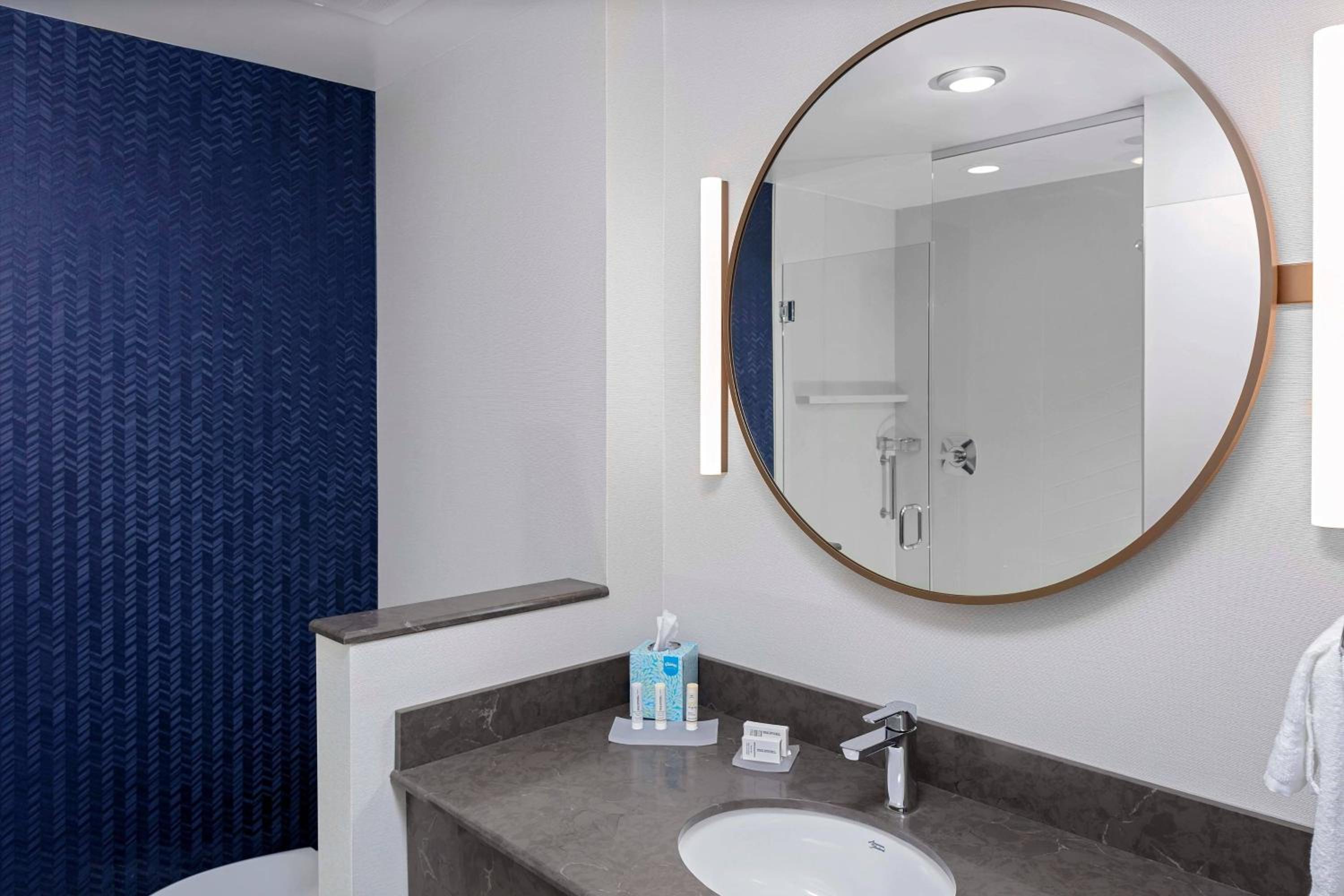 King Suite with Sofa Bed and Roll-in Shower - Mobility and Hearing Accessible photo 2