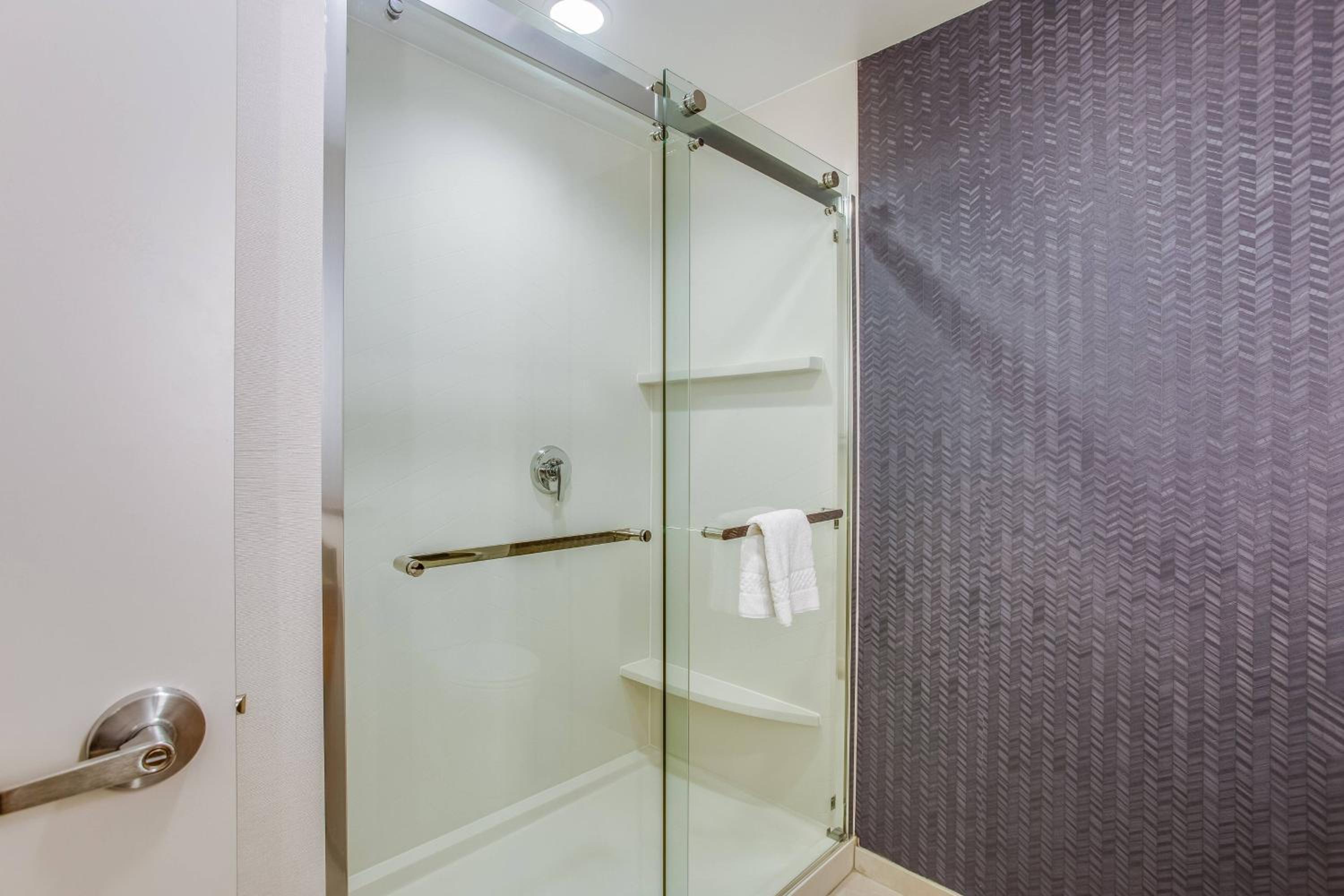 King Room with Roll-in Shower - Mobility Accessible - Photo 4