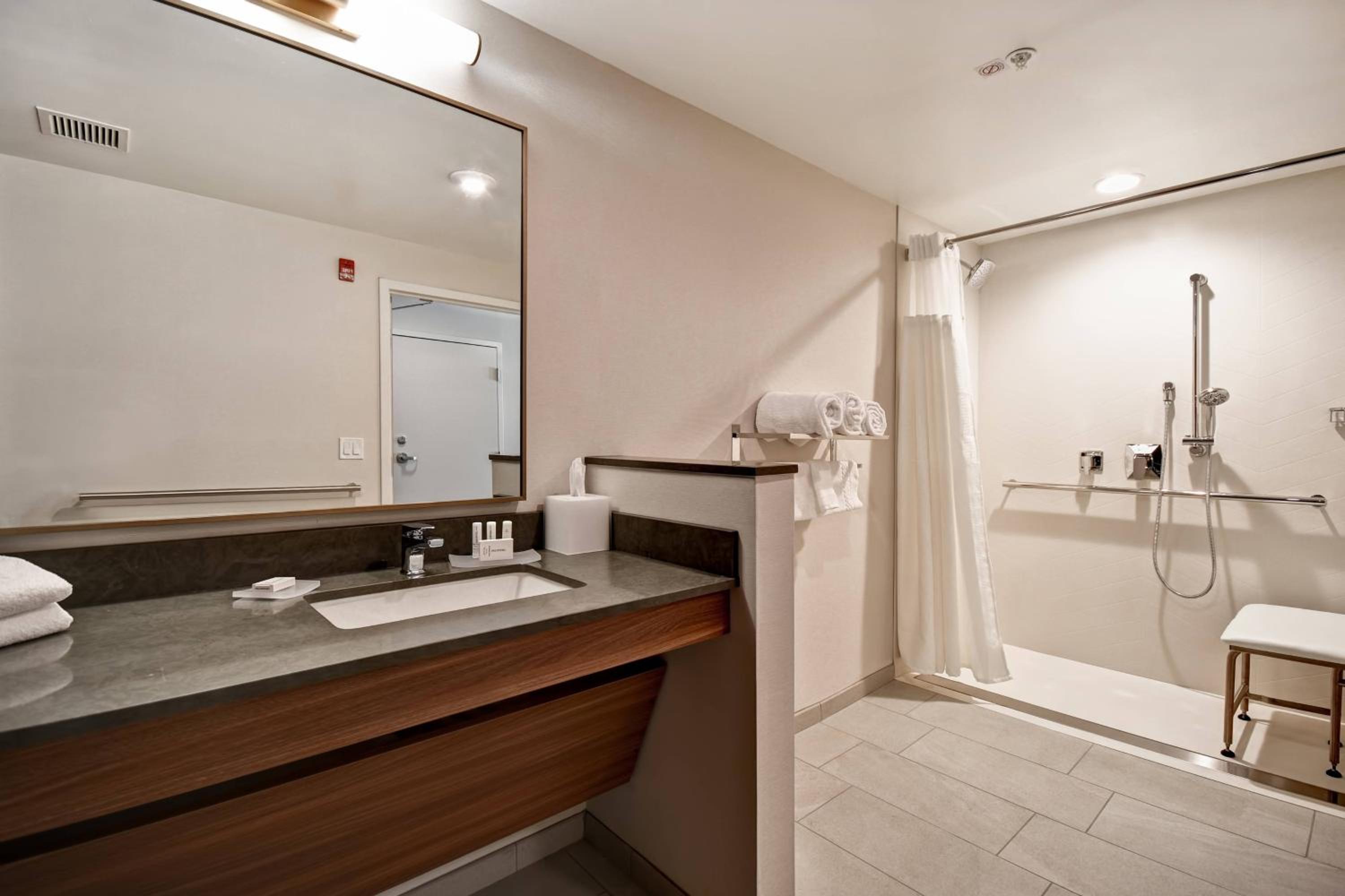 King Suite with Sofa Bed - Photo 1