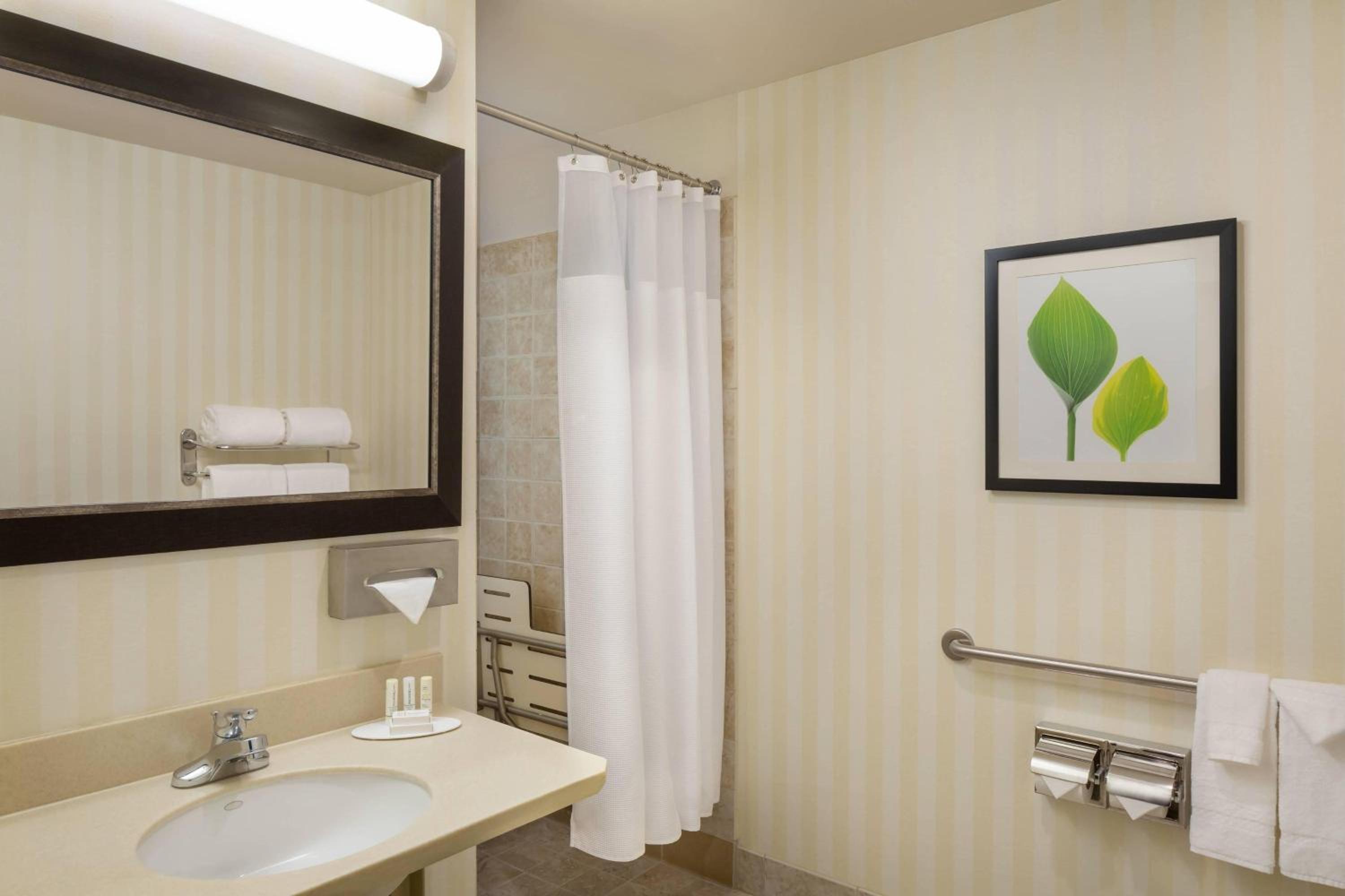 Executive King Studio Room with Sofa Bed and Roll-In Shower - Mobility Accessible - Photo 4