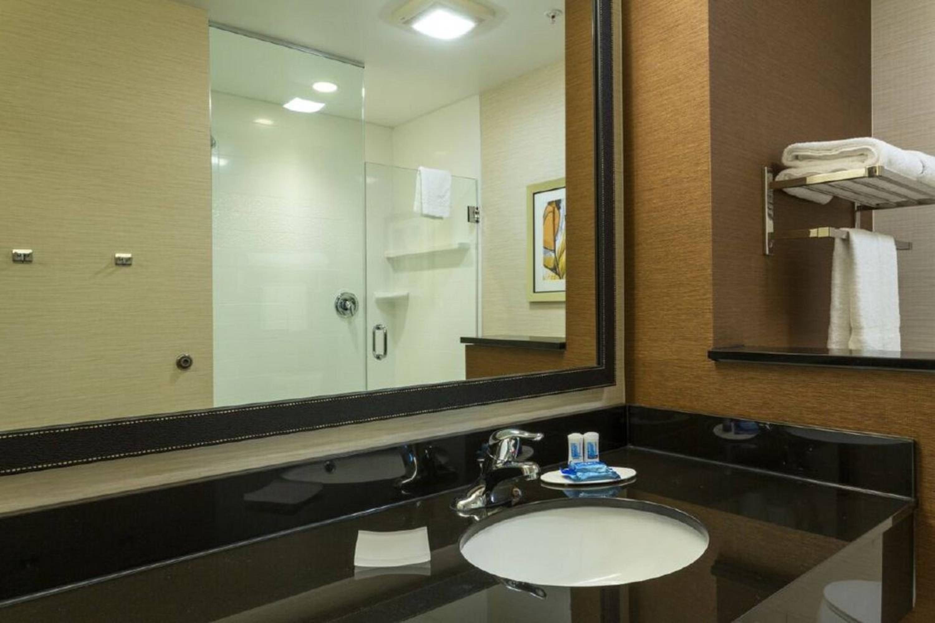 King Room with Roll-In Shower - Mobility Accessible photo 2