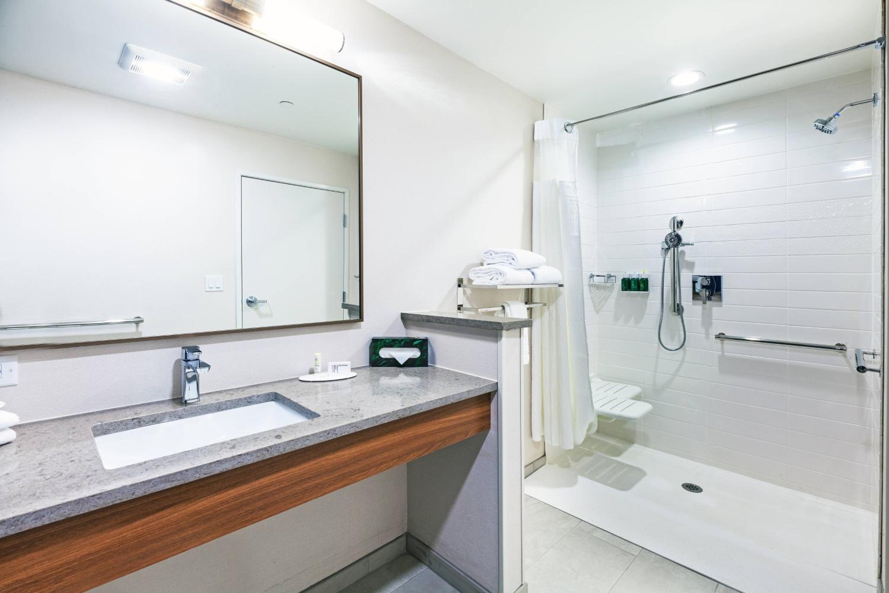 King Room with Roll-in Shower - Mobility and Hearing Accessible - Photo 3