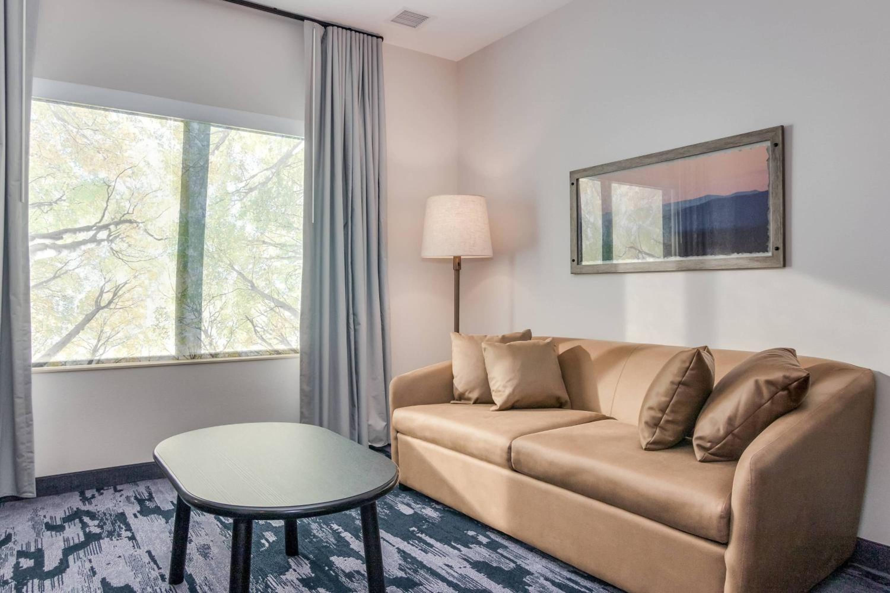 King Suite with Sofa Bed - Hearing Accessible - Photo 3
