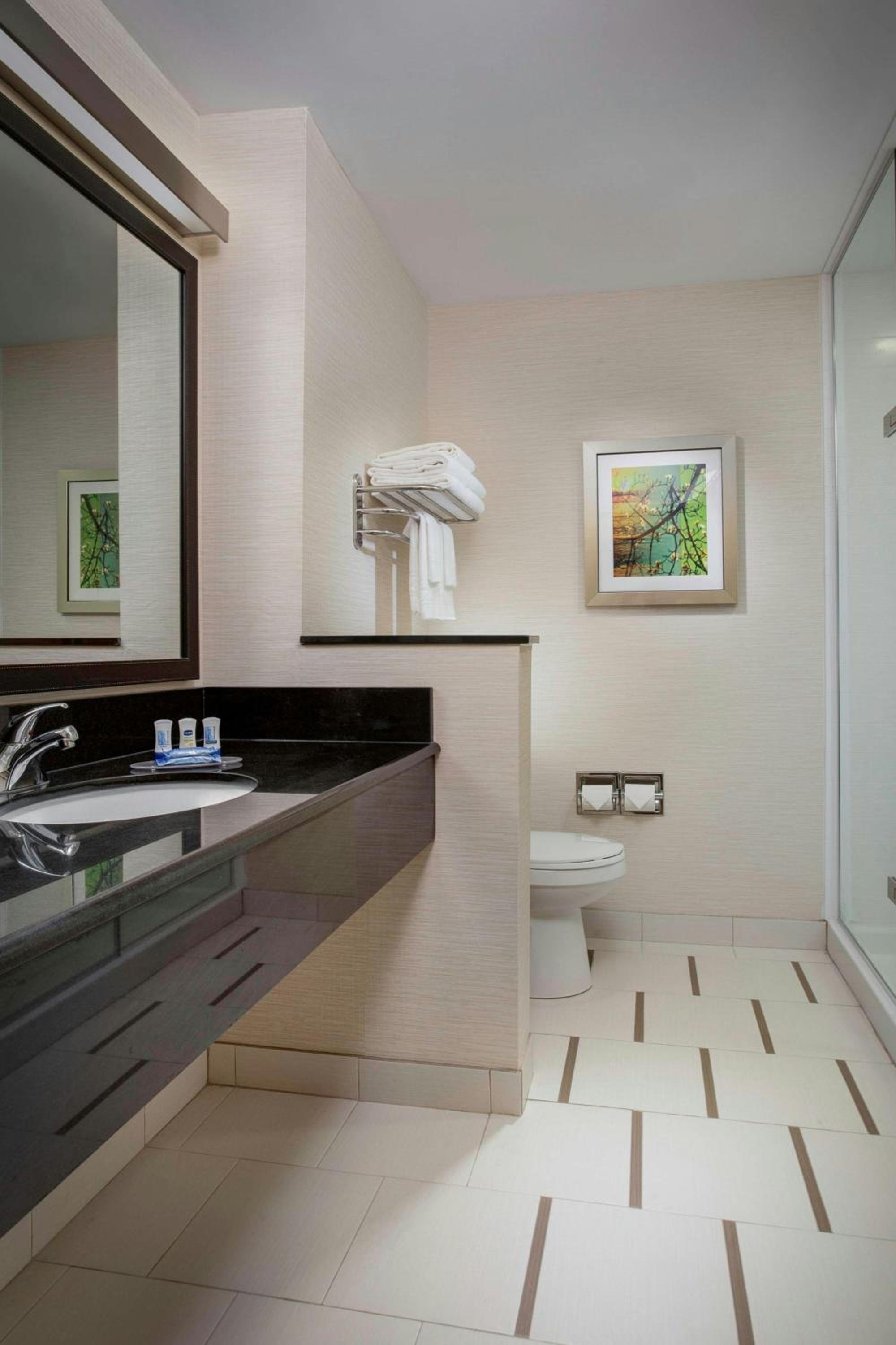 King Room with Sofa Bed and Roll-in Shower - Mobility and Hearing Accessible