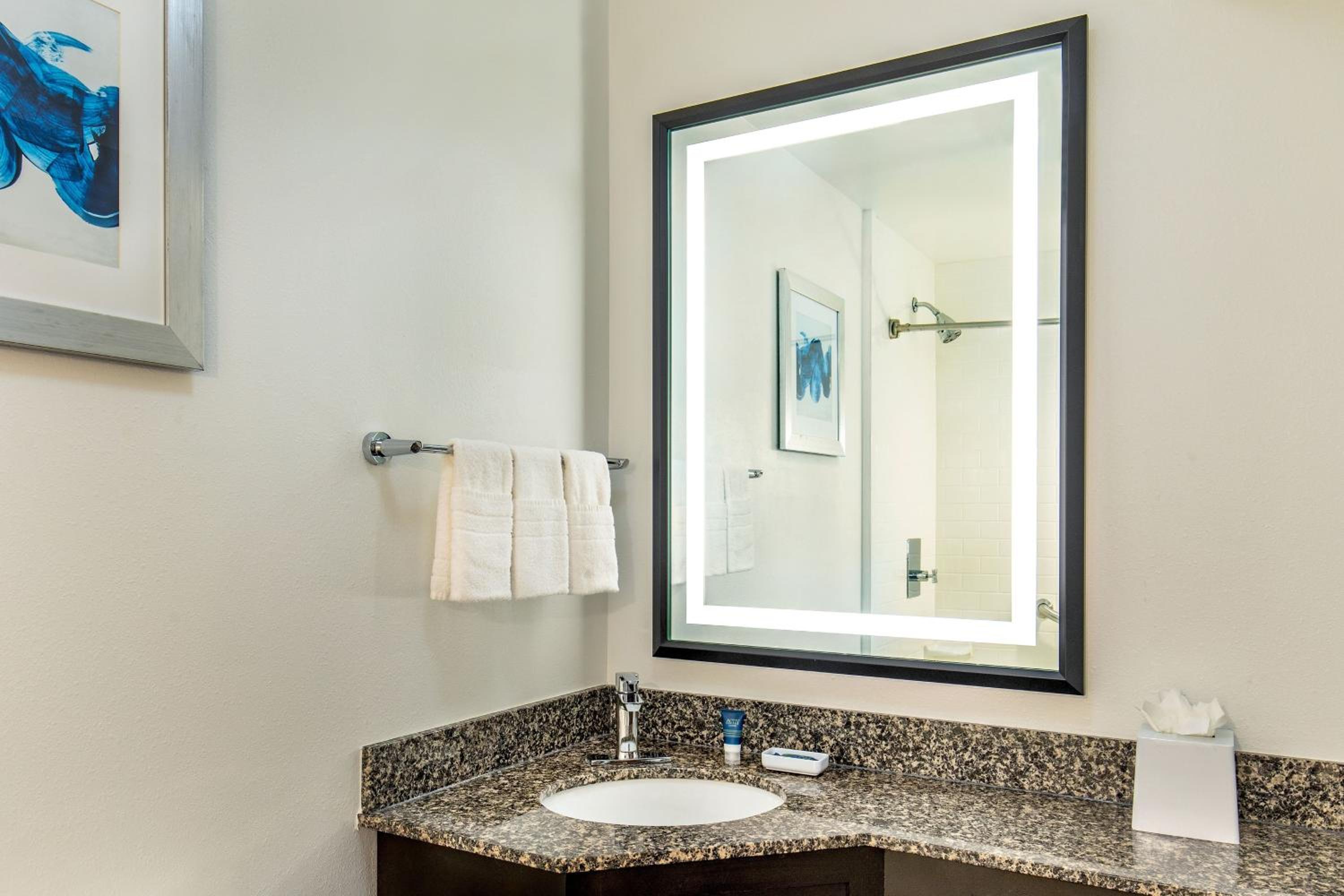 Deluxe King Room with Roll-in Shower - Mobility and Hearing Accessible photo 3