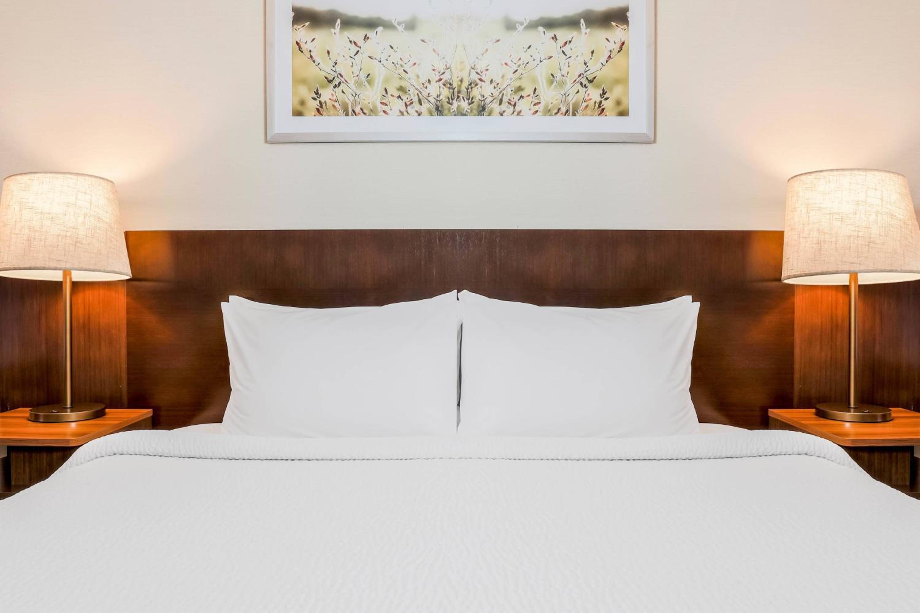King Room with Bathtub and Sofa Bed - Mobility Access/Hearing Accessible - Photo 4