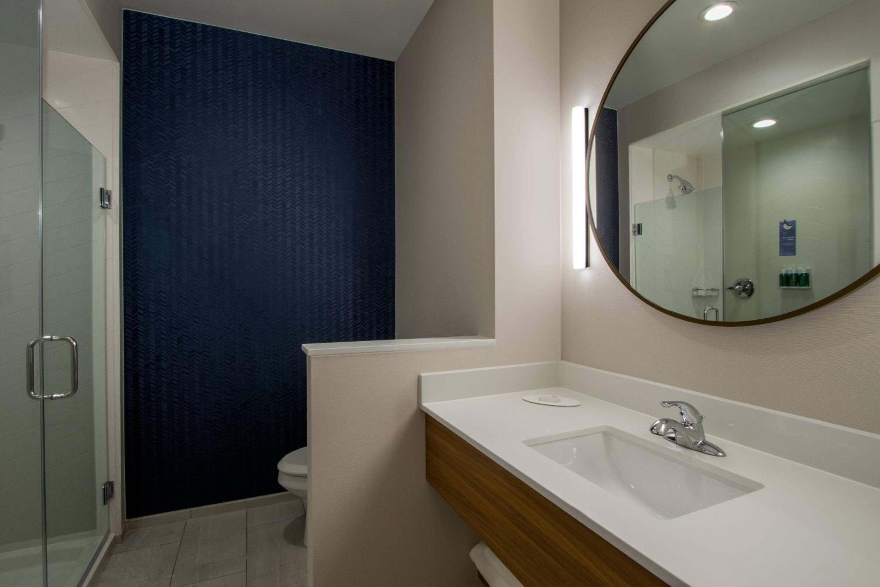 Suite, King, Sofa bed (Mobility Accessible w/ Roll-in Shower)