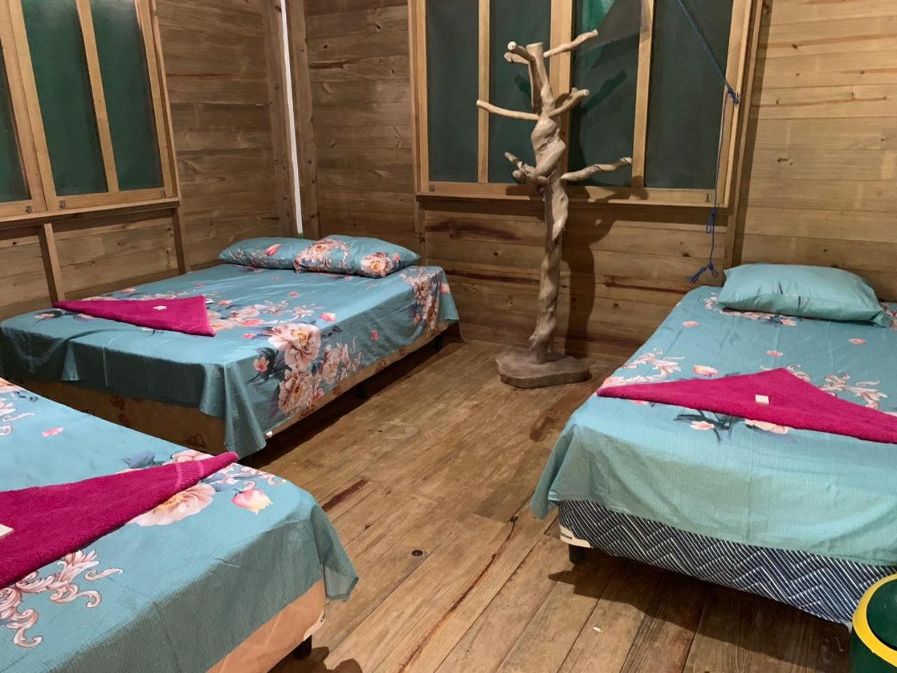 Triple Room with Shared Bathroom photo 3