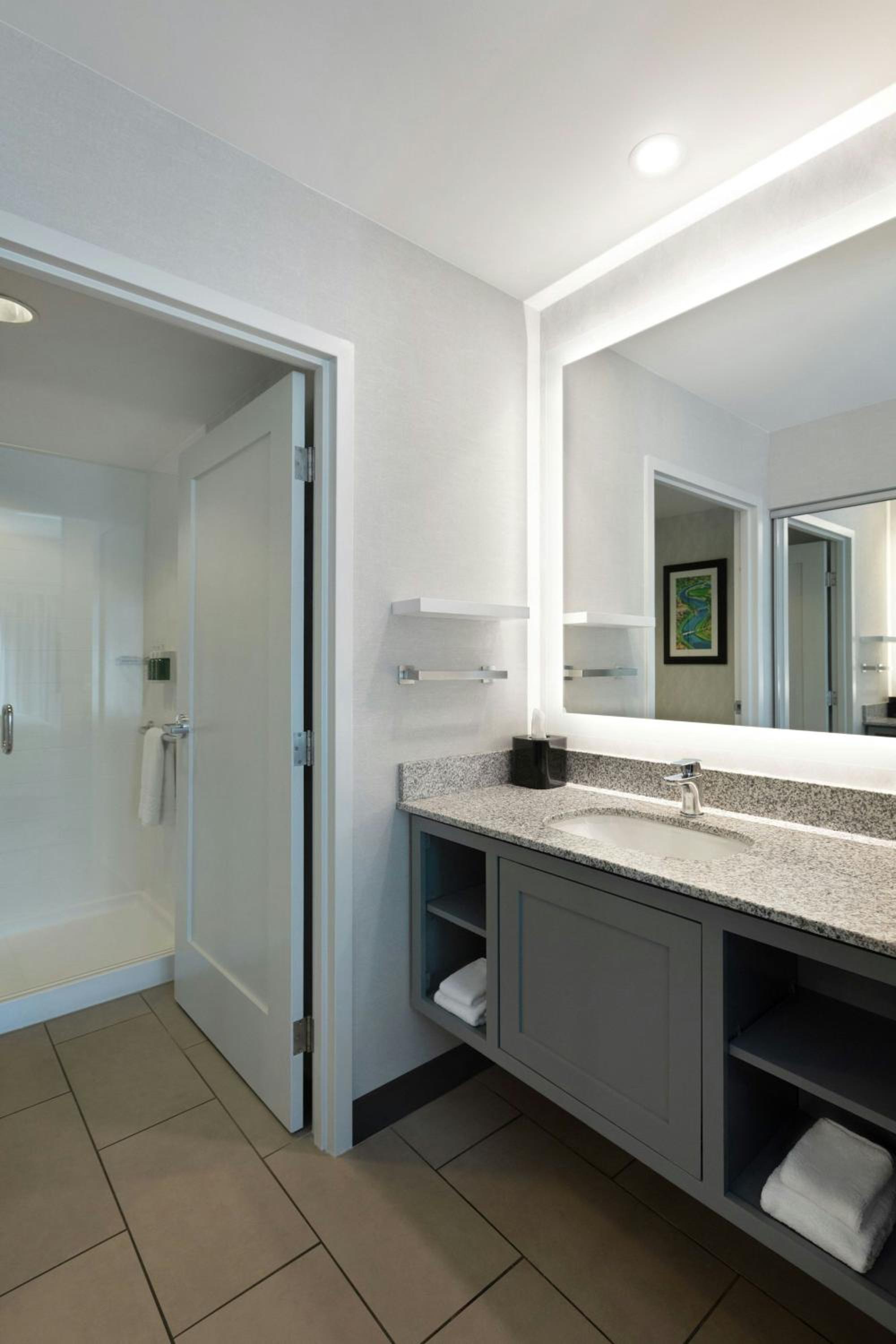 King Studio Suite with Sofa Bed and Roll-in Shower - Mobility and Hearing Accessible
