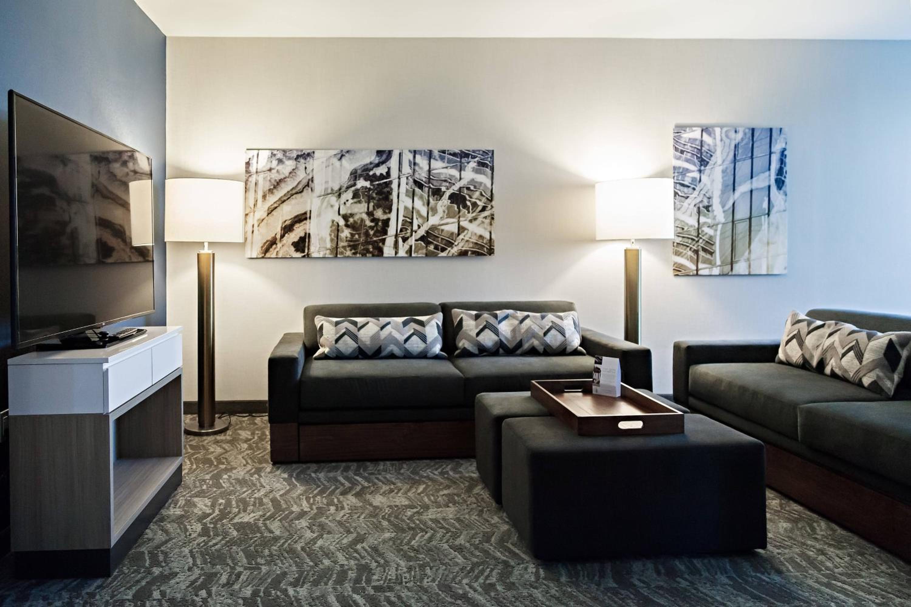 One-Bedroom King Suite with Trundle Sofa