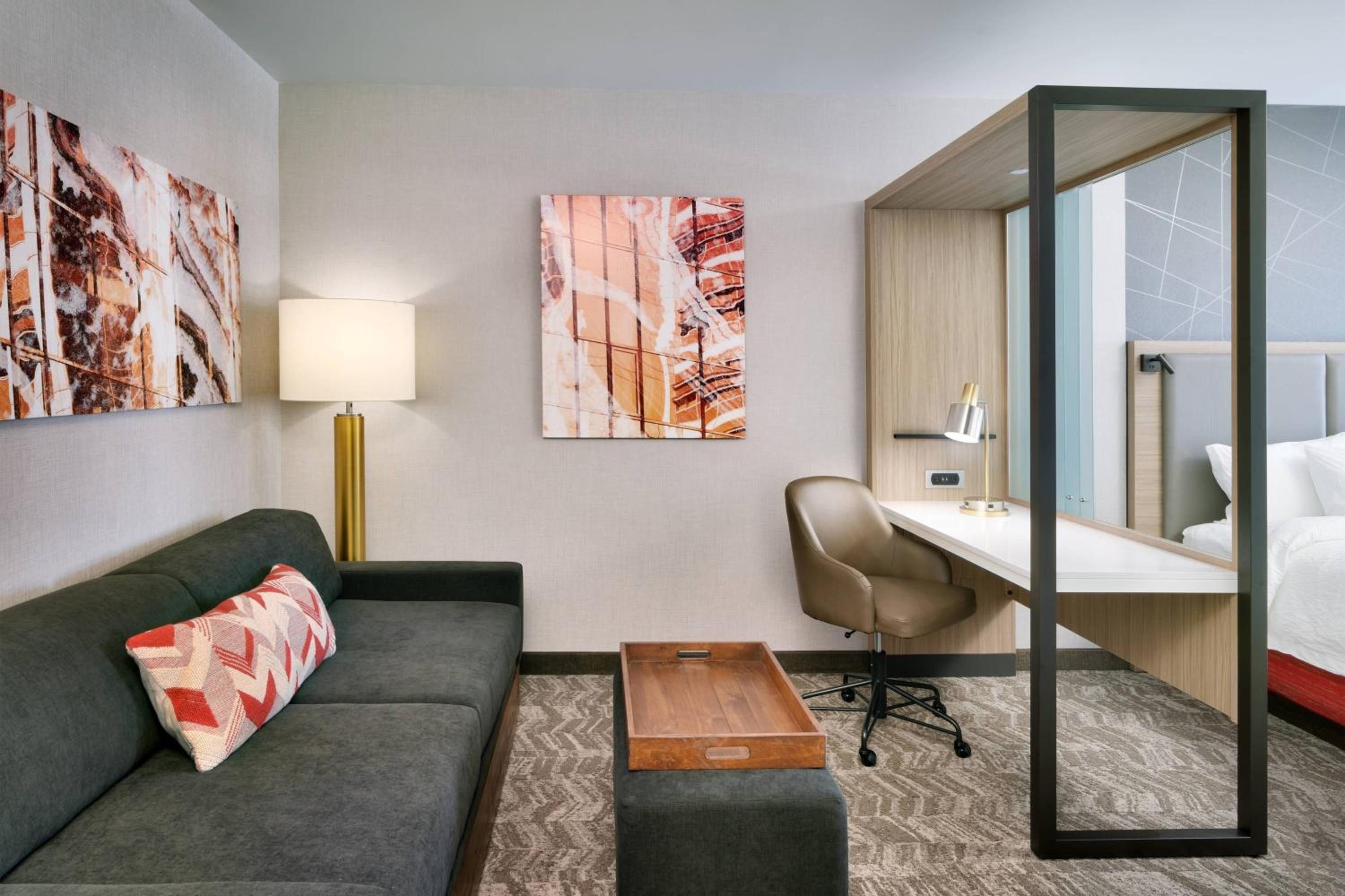 King Suite with Tub - Mobility Accessible - Photo 4