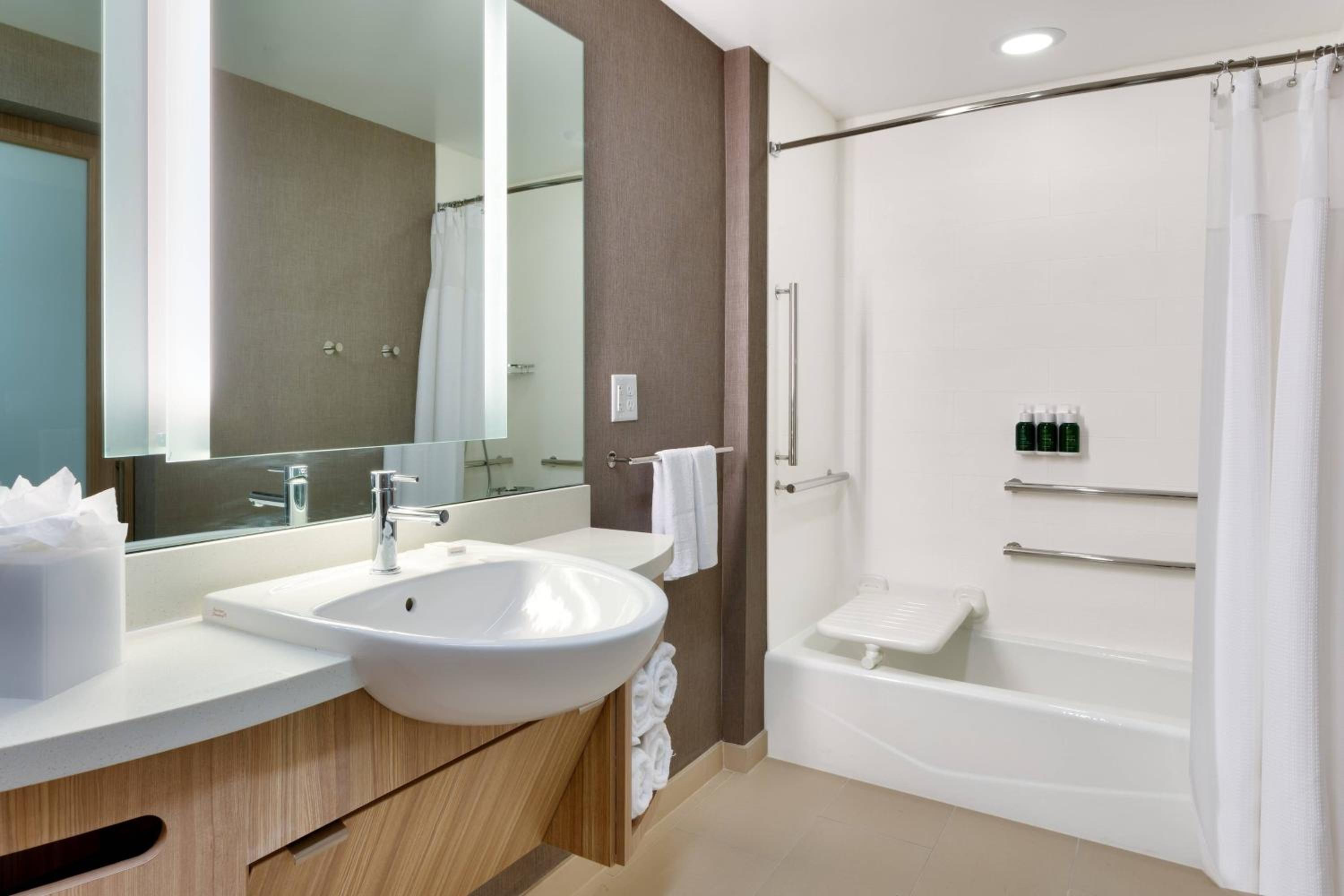 King Suite with Tub - Mobility Accessible - Photo 7