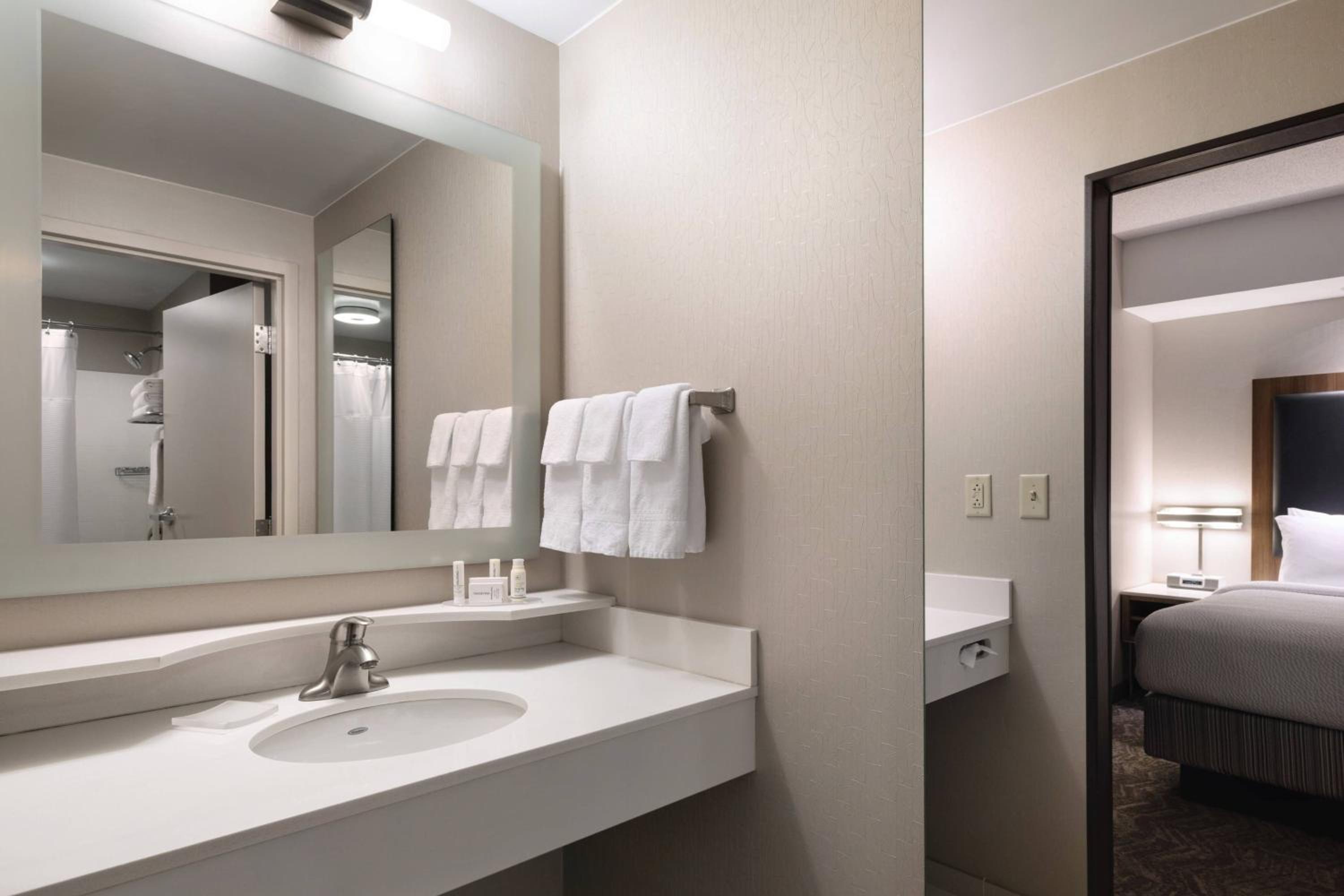 Executive King Suite with Roll-In Shower - Mobility Accesible - Photo 4