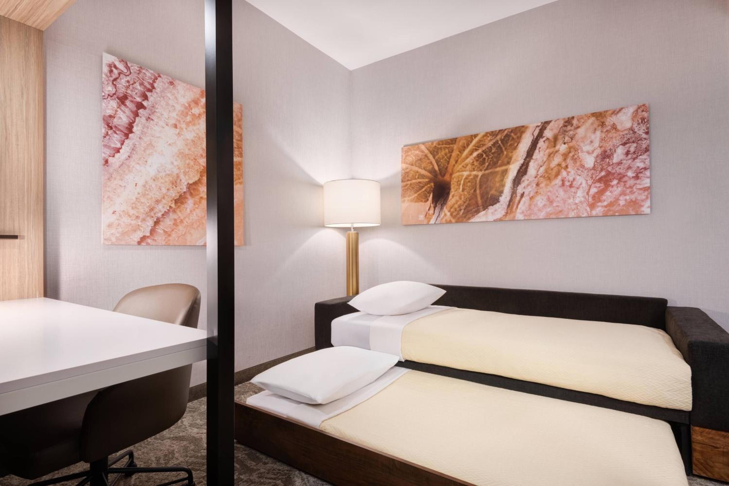 King Suite with Tub - Mobility Accessible - Photo 4