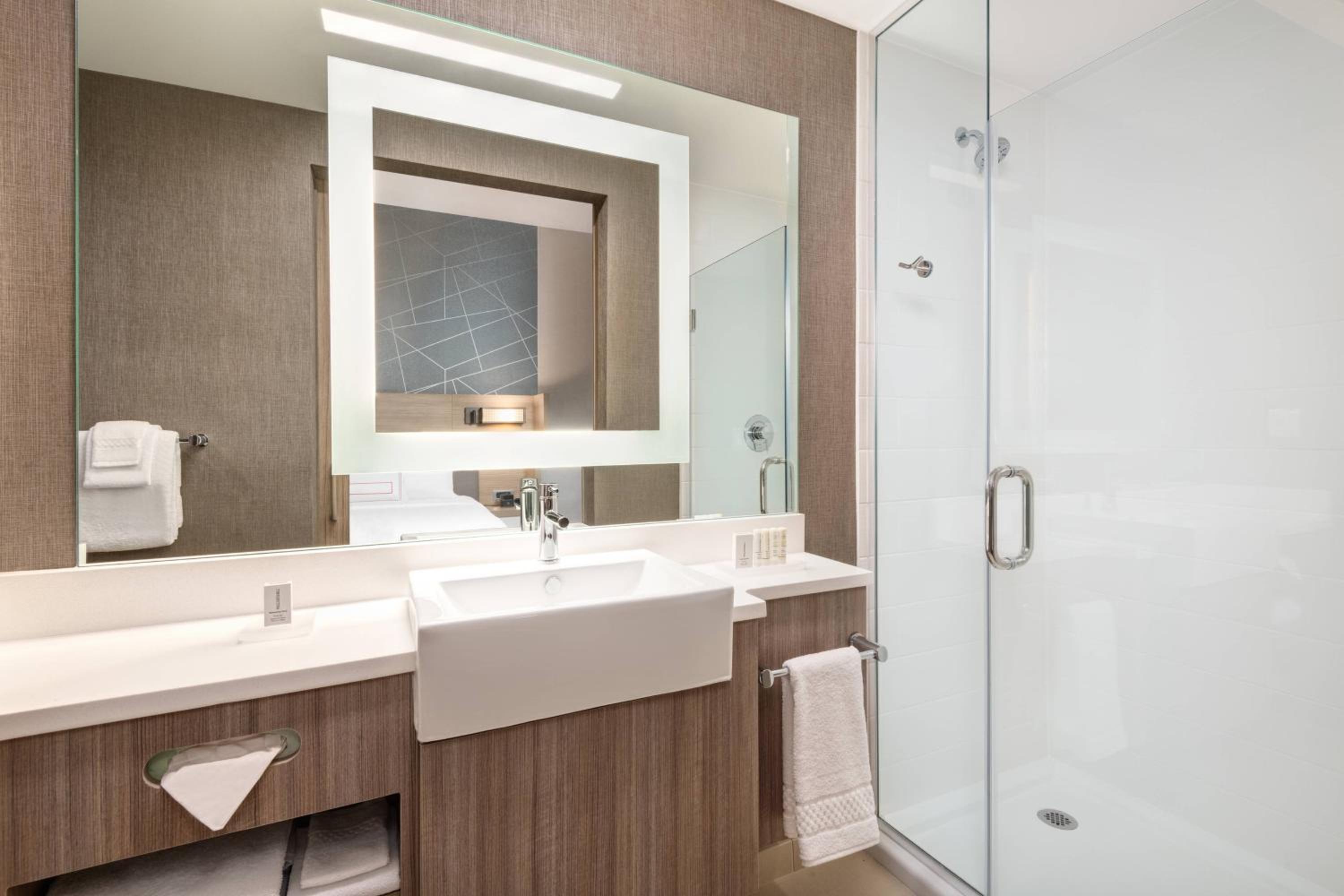 King Suite with Tub - Mobility Accessible - Photo 6