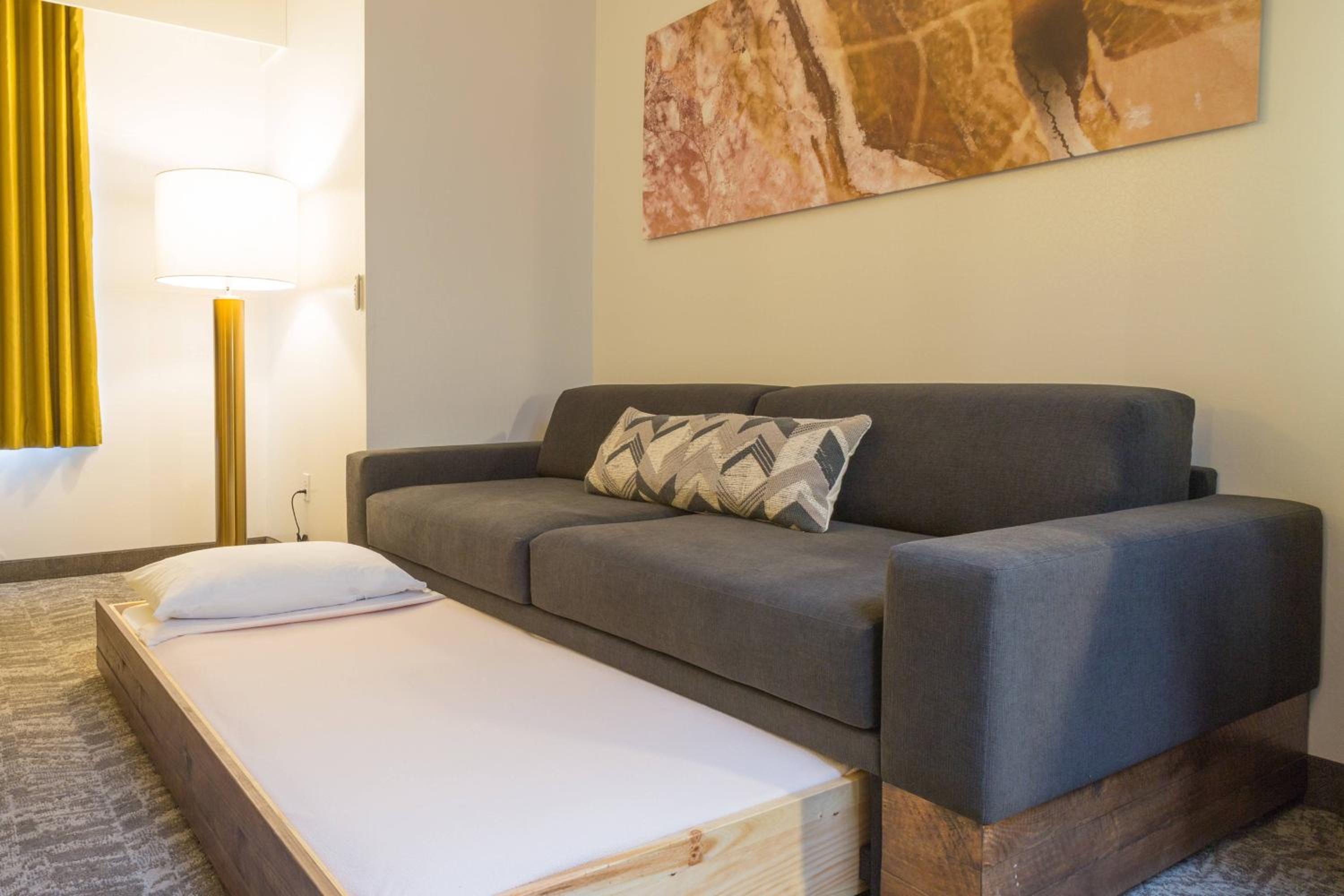 Studio, 1 King, Sofa bed, Whirlpool (Mobility Accessible w/ Tub) photo 3