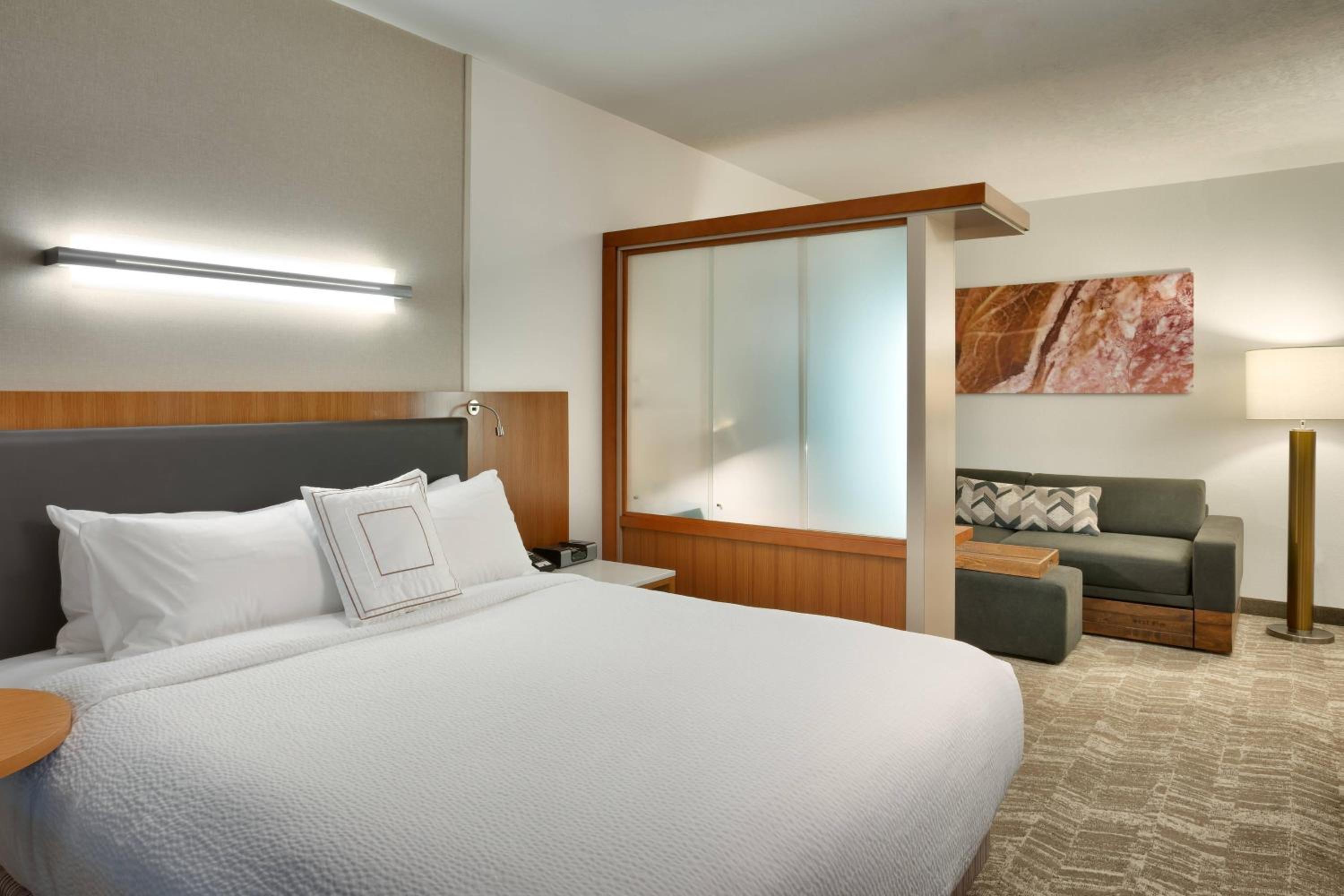 King Studio with Sofa Bed and Roll-in Shower - Mobility and Hearing Accessible
