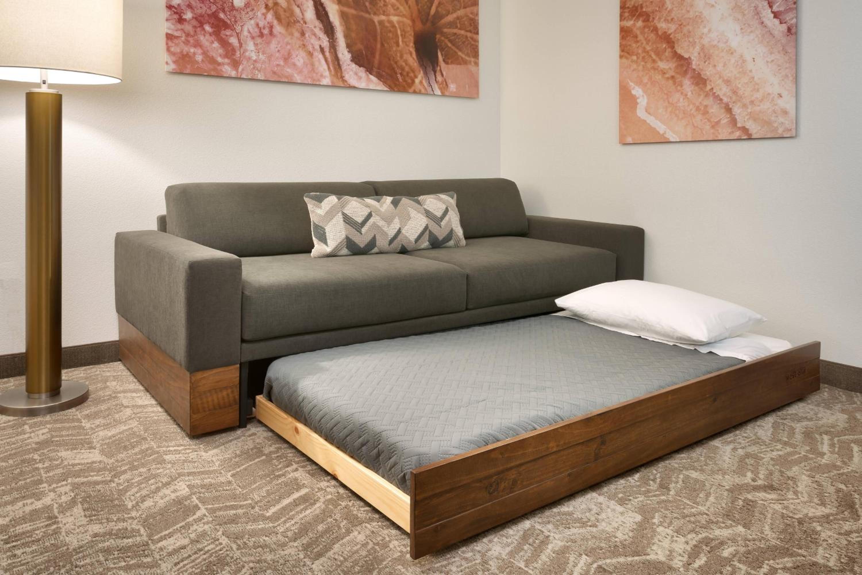 Queen Studio with Sofa Bed and Roll-in Shower - Mobility and Hearing Accessible photo 2