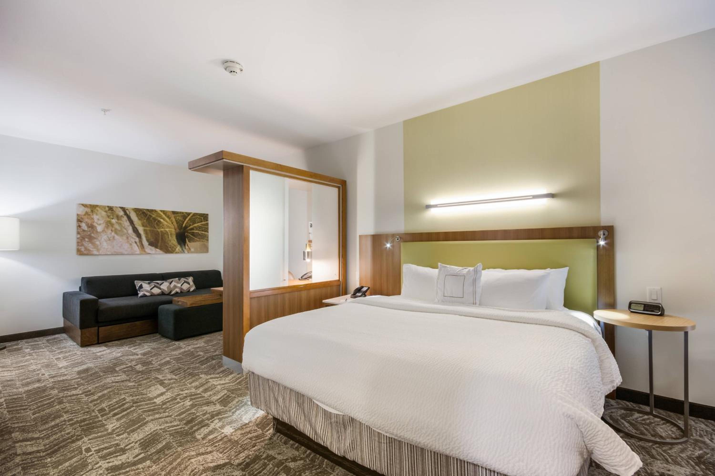King Suite with Sofa Bed - Photo 2