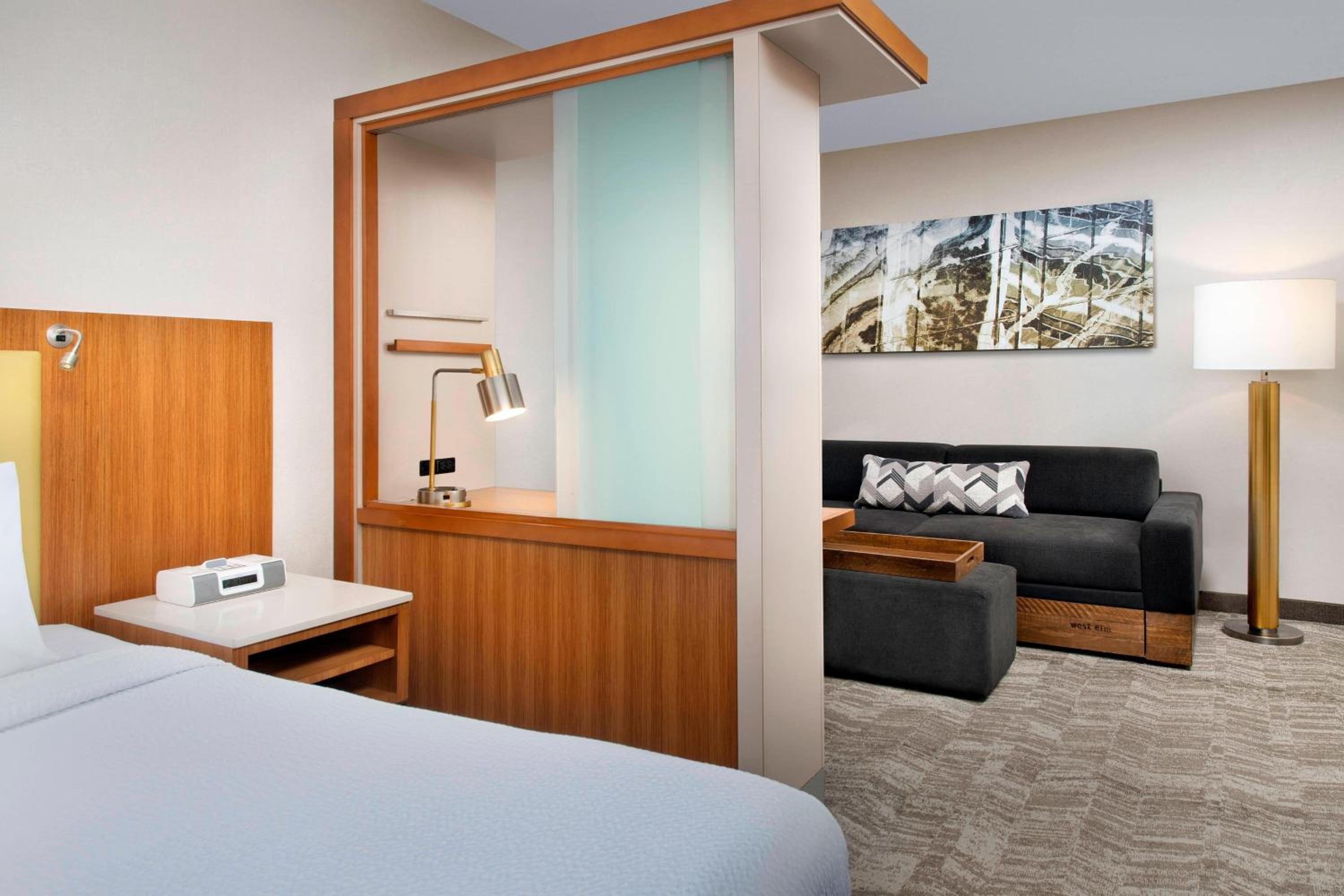 King Suite with Bathtub and Trundle Sofa - Mobility Access - Photo 1