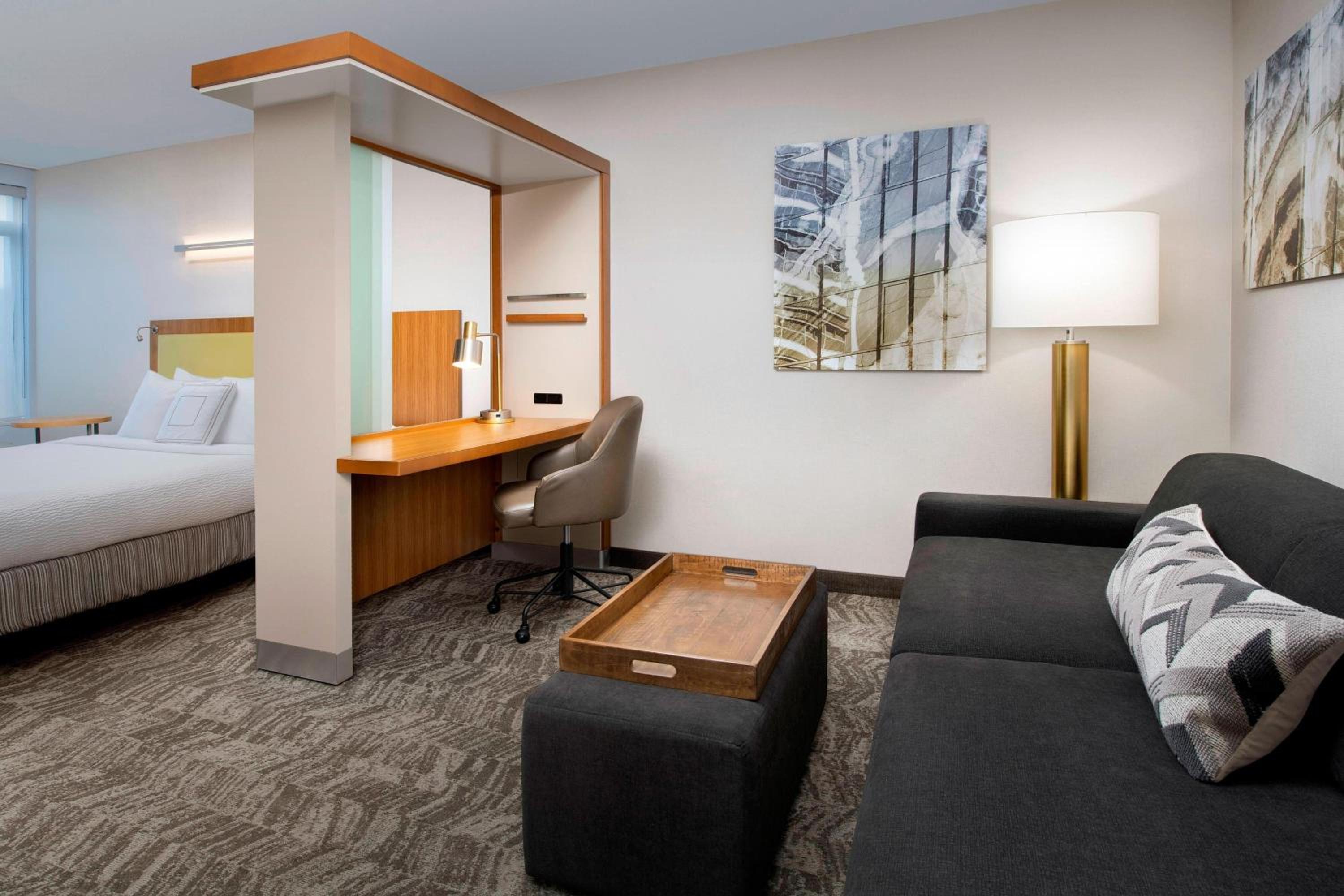 King Suite with Bathtub and Trundle Sofa - Mobility Access - Photo 2