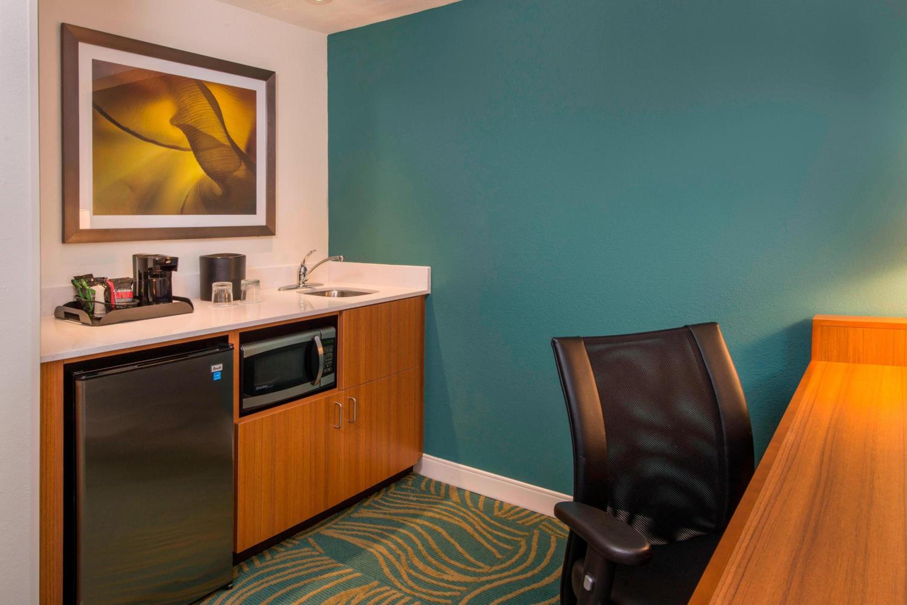 Suite with Roll-In Shower - Mobility and Hearing Accessible - Photo 3