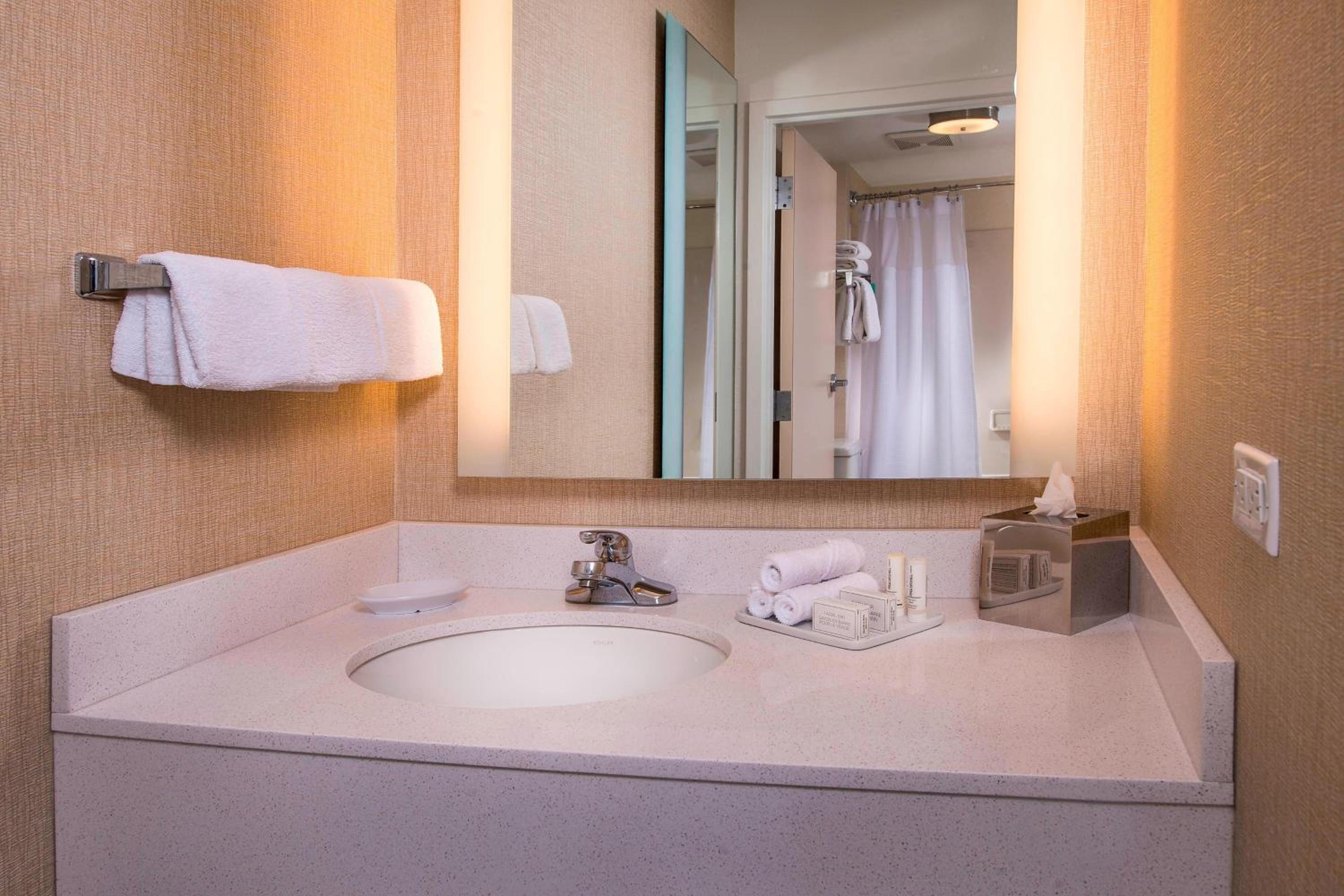 Suite with Roll-In Shower - Mobility and Hearing Accessible - Photo 5