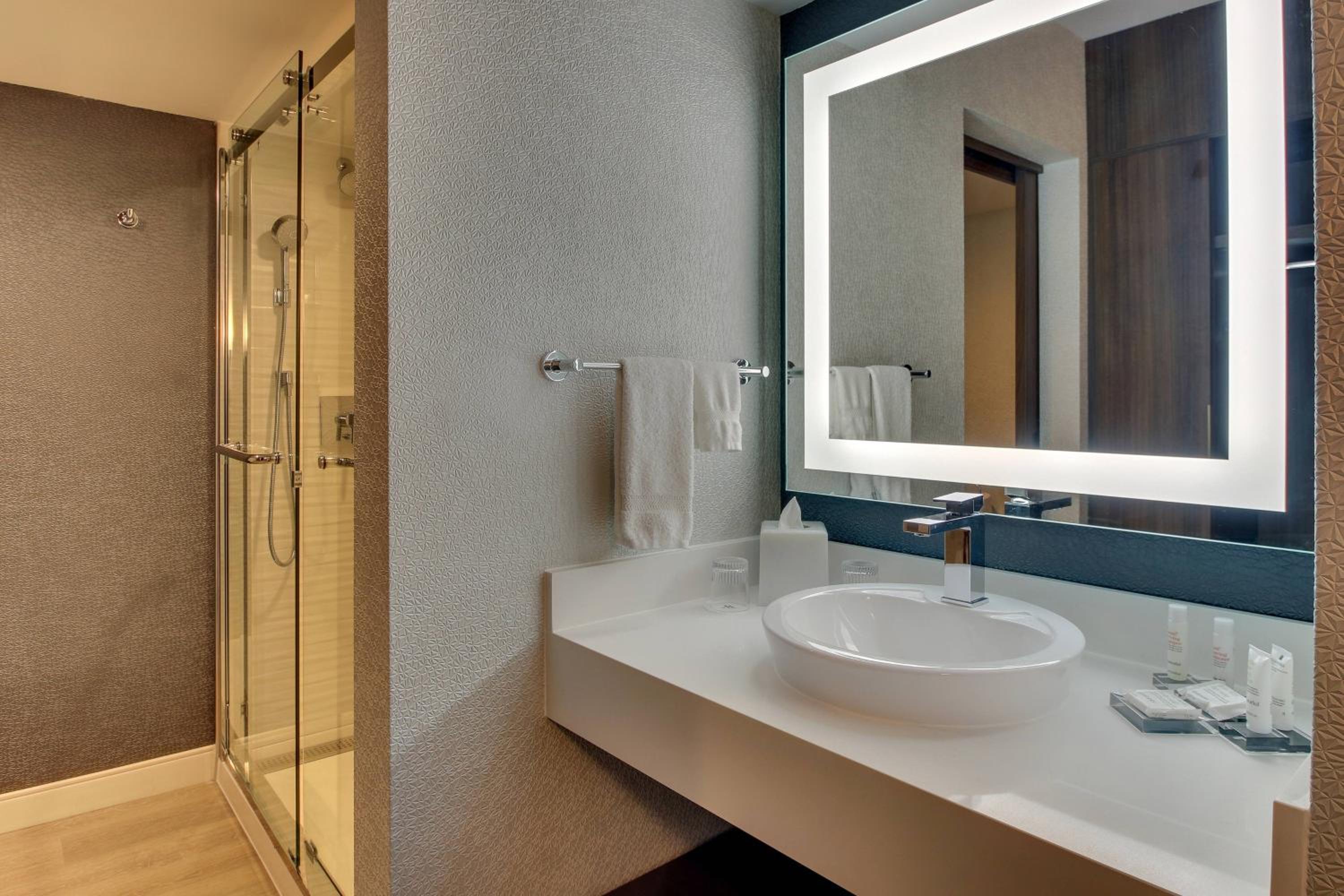 King Room with Roll-in Shower - Mobility and Hearing Accessible photo 3