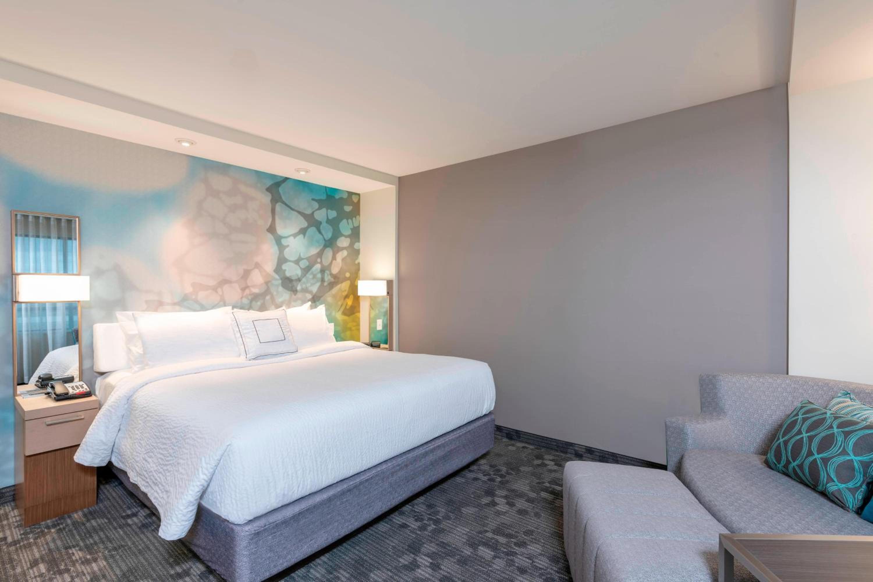 King Room with Sofa Bed and Roll-in Shower - Mobility Accessible photo 1