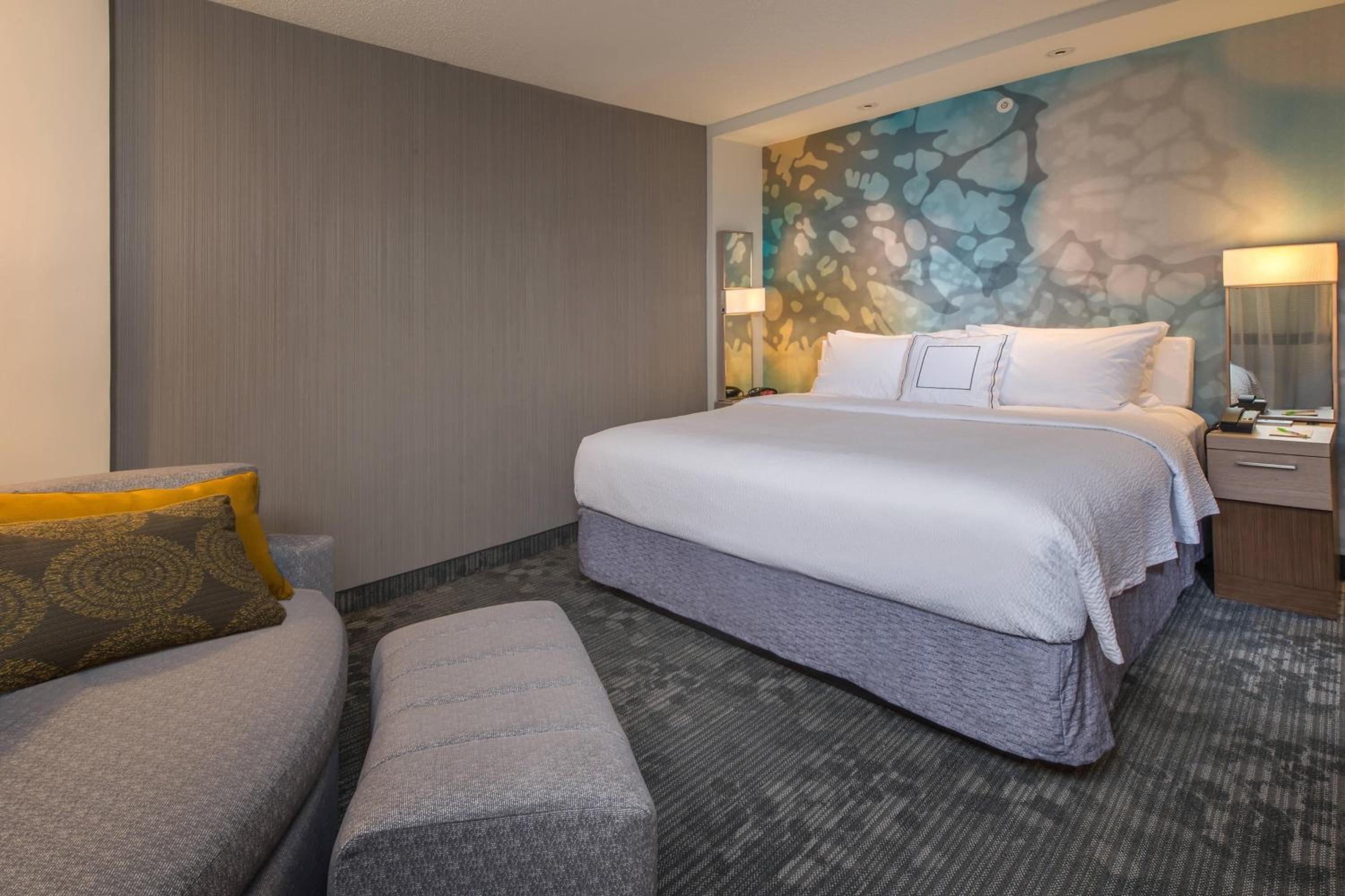 King Room with Sofa Bed and Roll-in Shower - Mobility Accessible photo 2