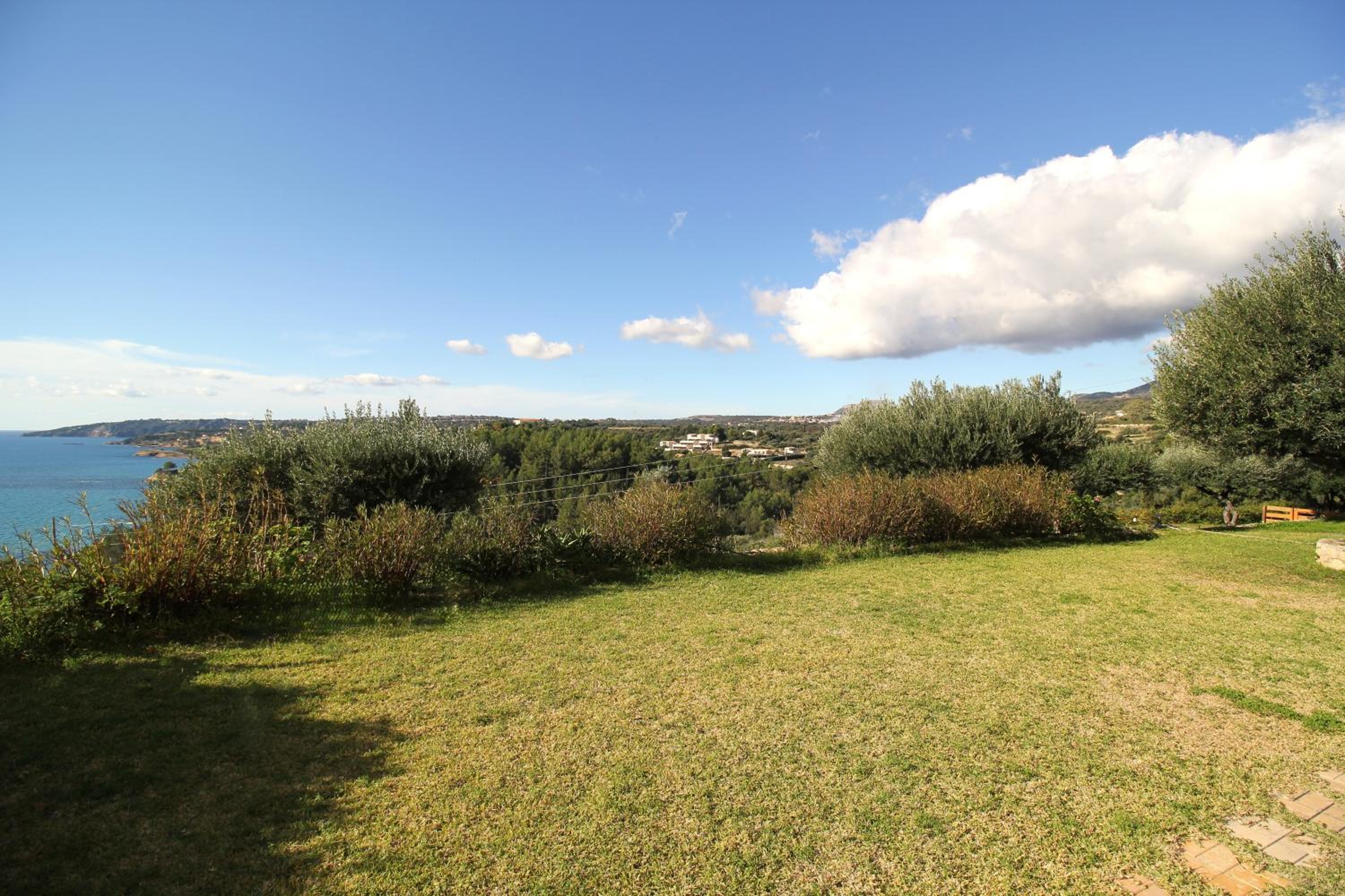 Studio with Garden View