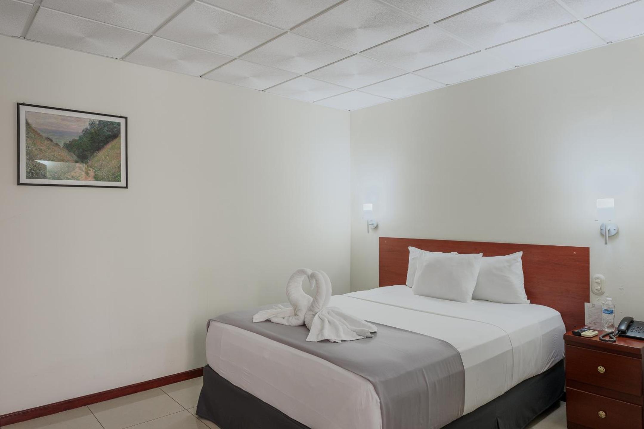 Single Room photo 2