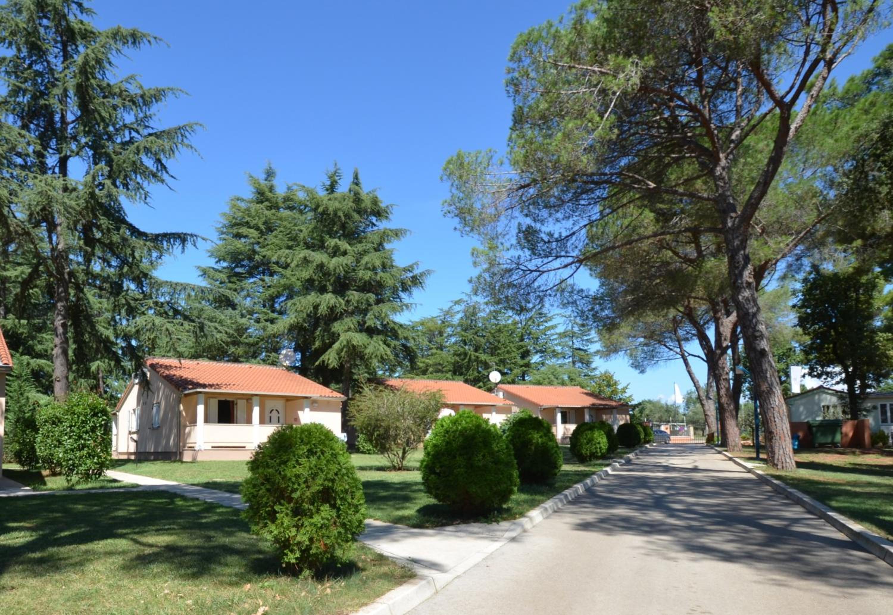 Superior One-Bedroom Apartment - Photo 3