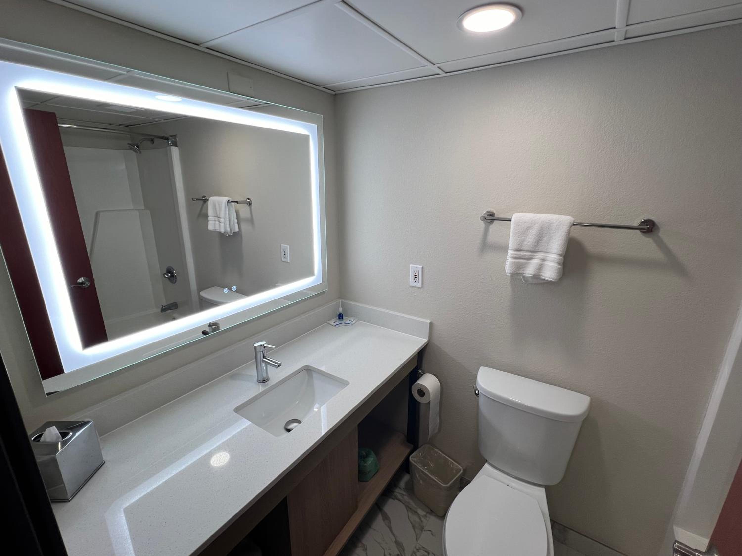 King Suite with Living Room - Non Smoking - Photo 3