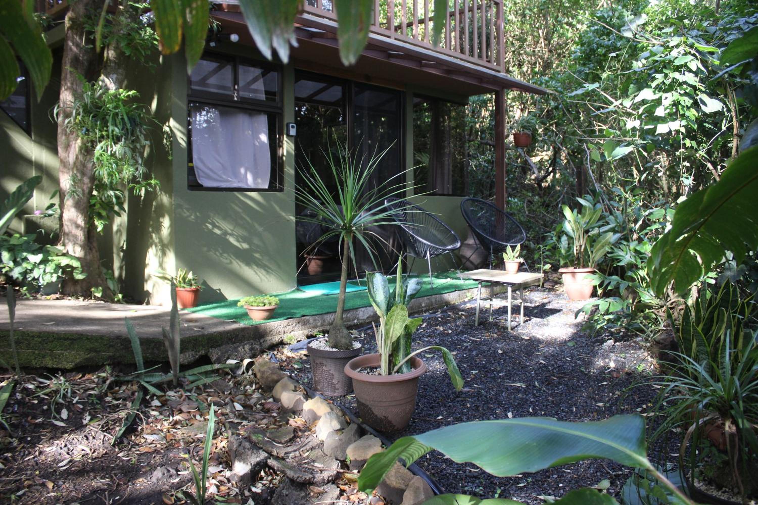 Studio with Garden View photo 1