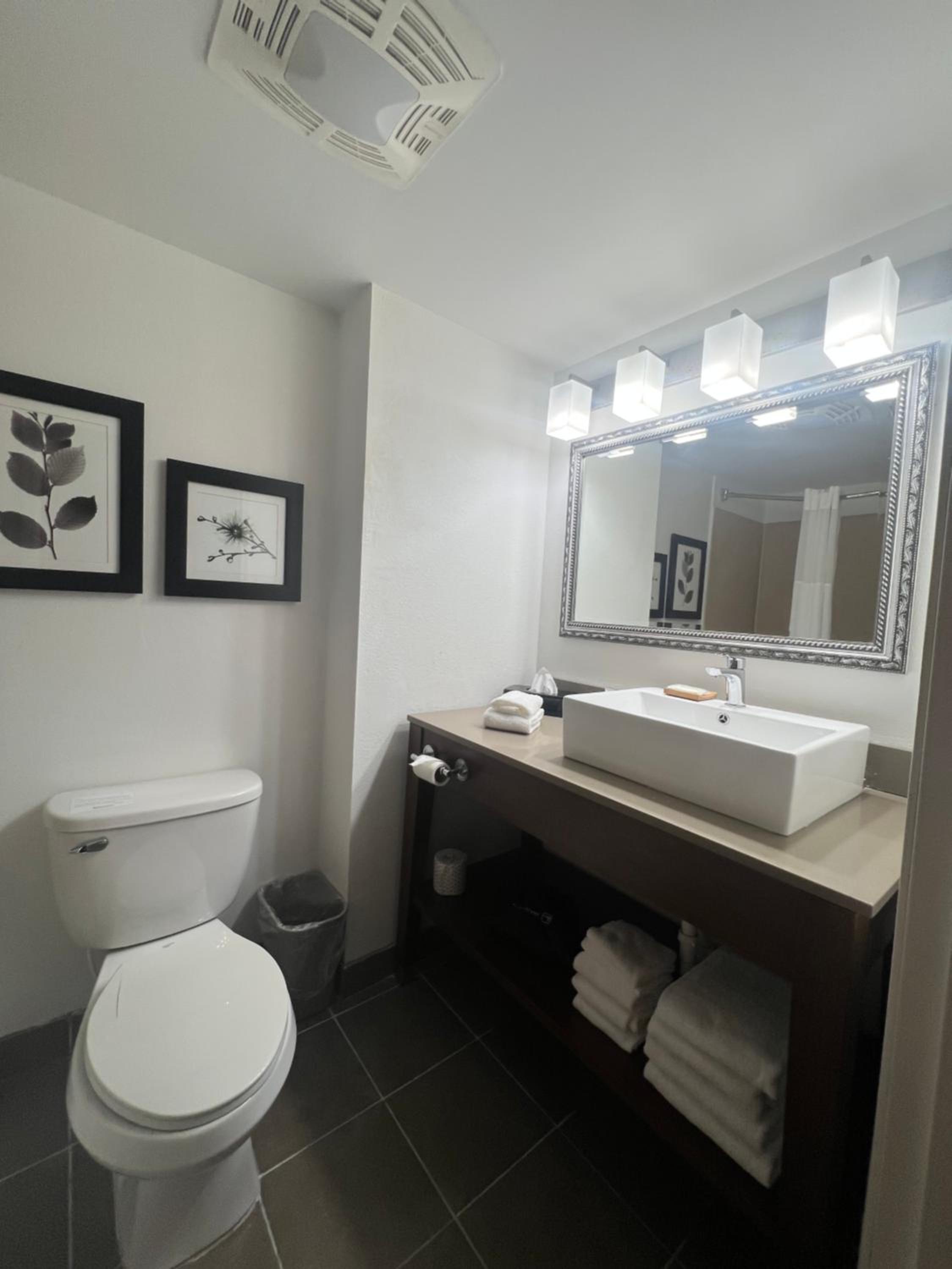 King Suite with Living Room - Non Smoking - Photo 5