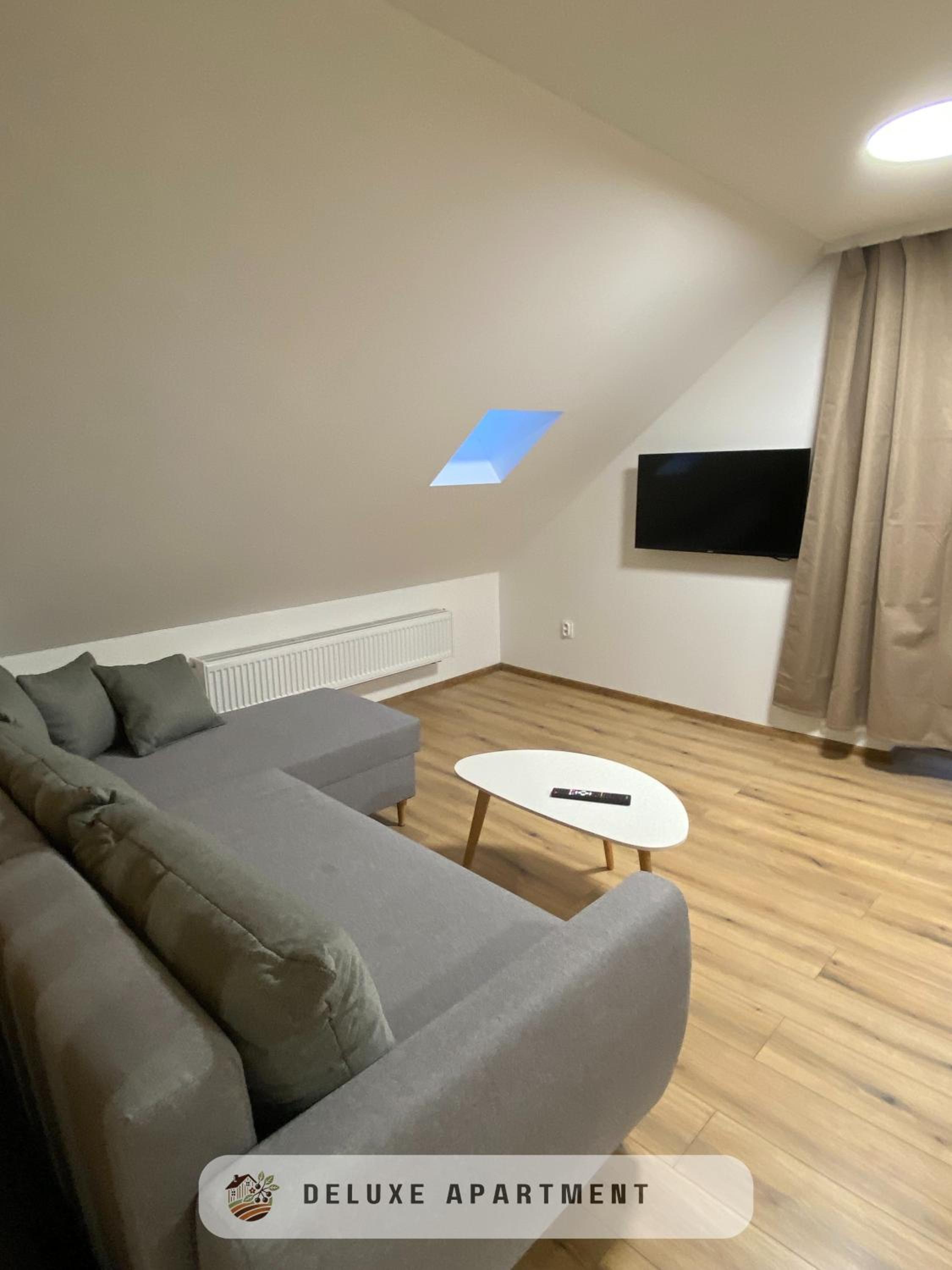 Deluxe Apartment